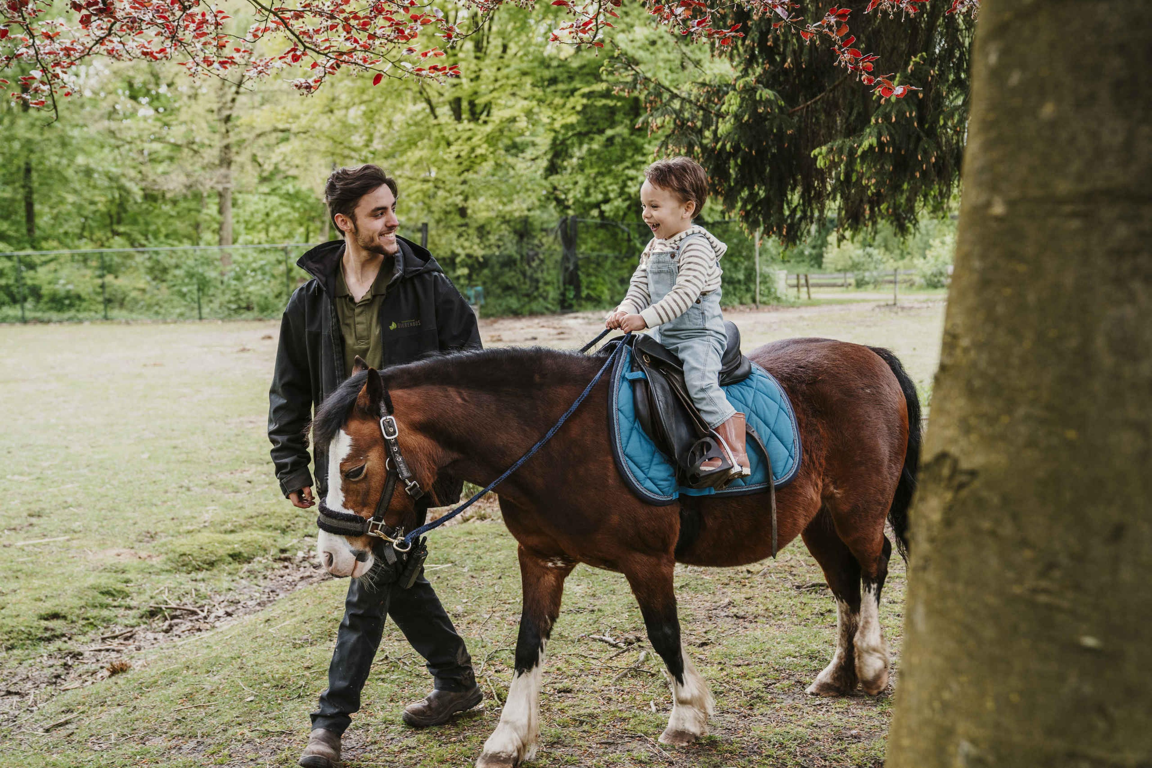Jongen rijdt paard met begeleider bij Vakantiepark Dierenbos