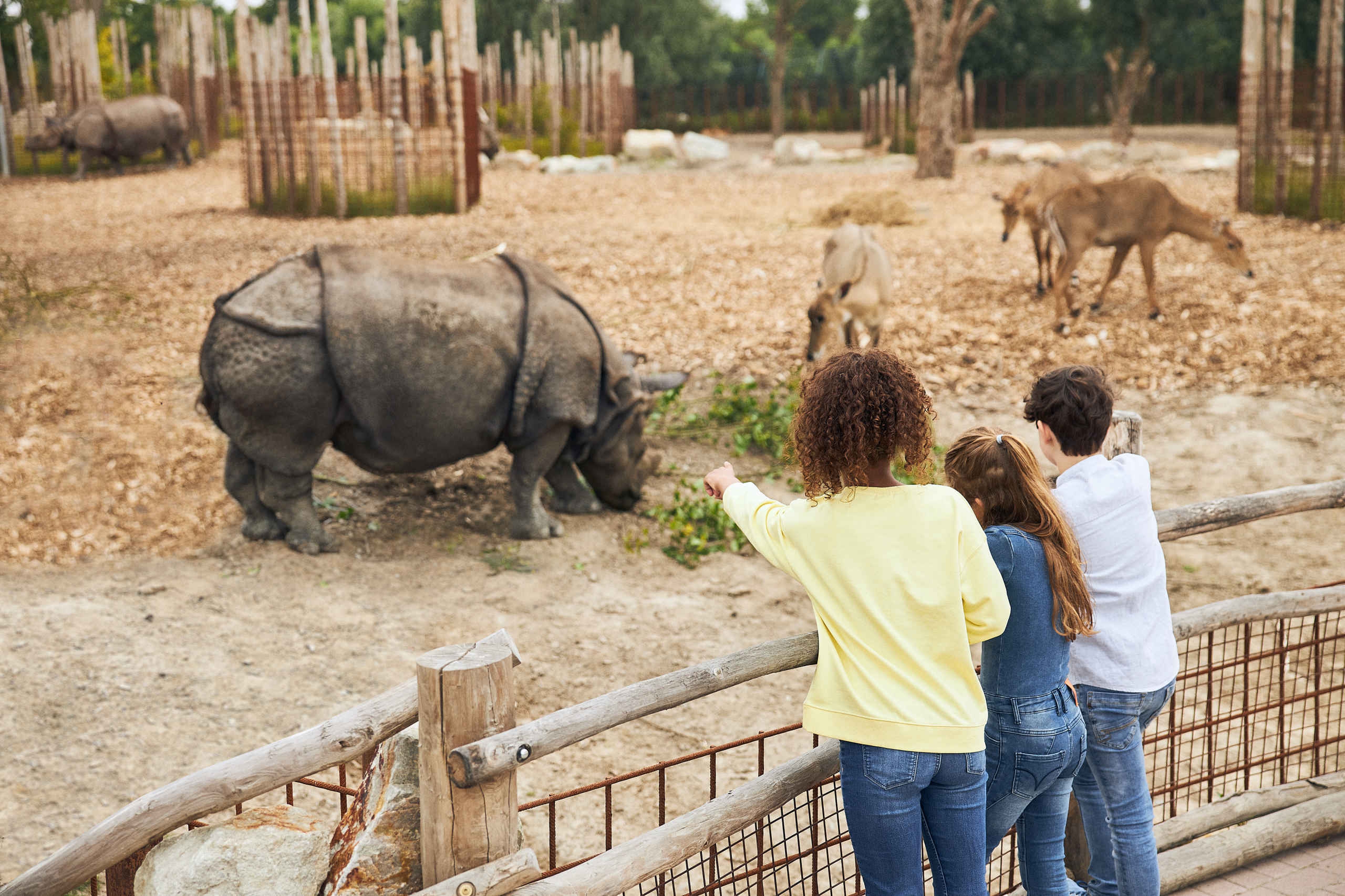 Kinderfeestje neushoorn vlakte Eindhoven Zoo