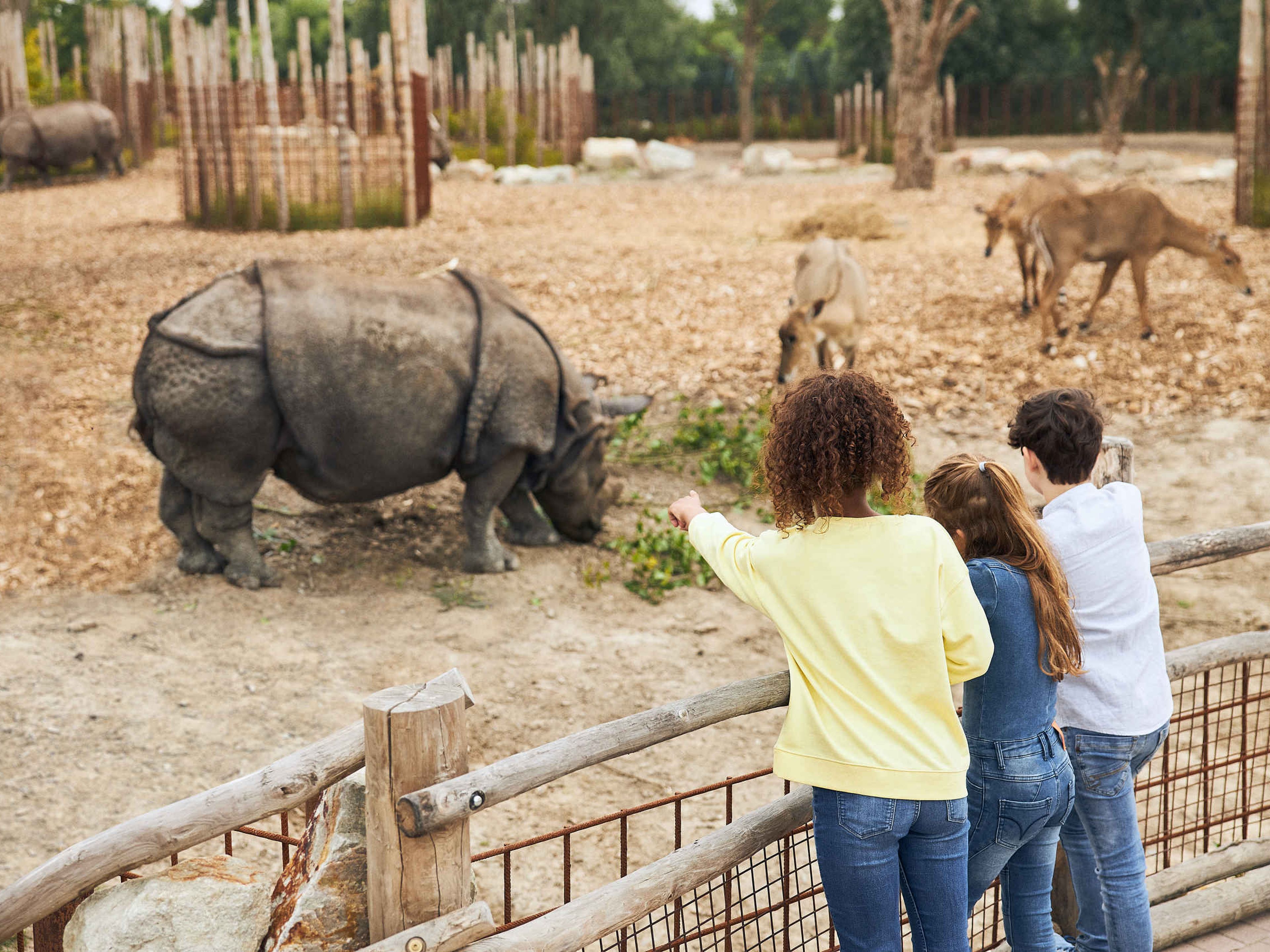 De neushoorn vlakte Eindhoven Zoo
