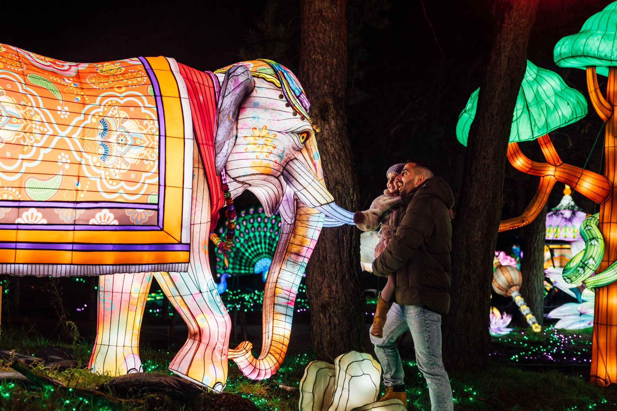 Een man en zijn kind staan bij een lichtsculptuur van een olifant bij Light Safari in Safaripark Beekse Bergen.