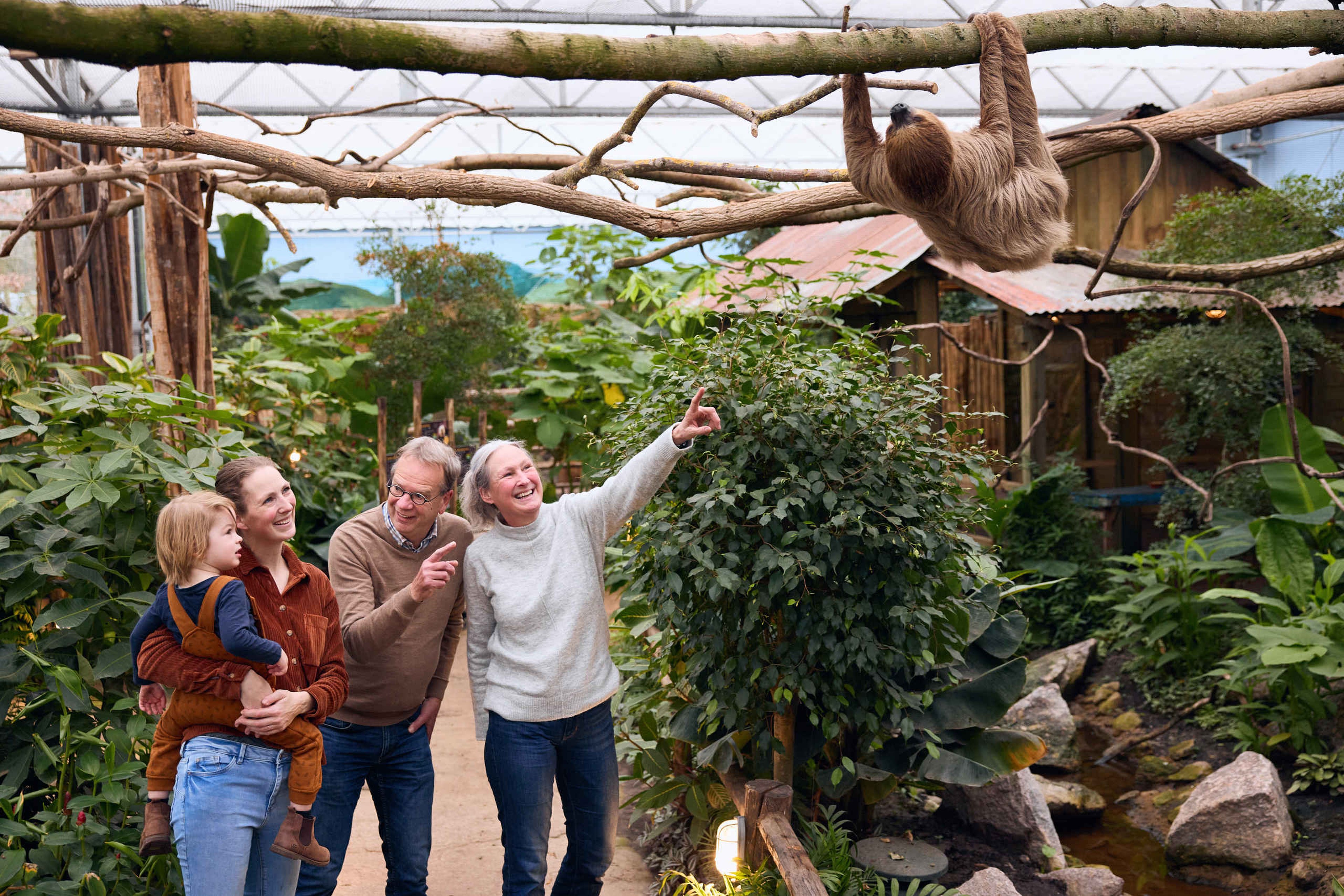 Gezin bij een luiaard in Madidi in ZooParc Overloon