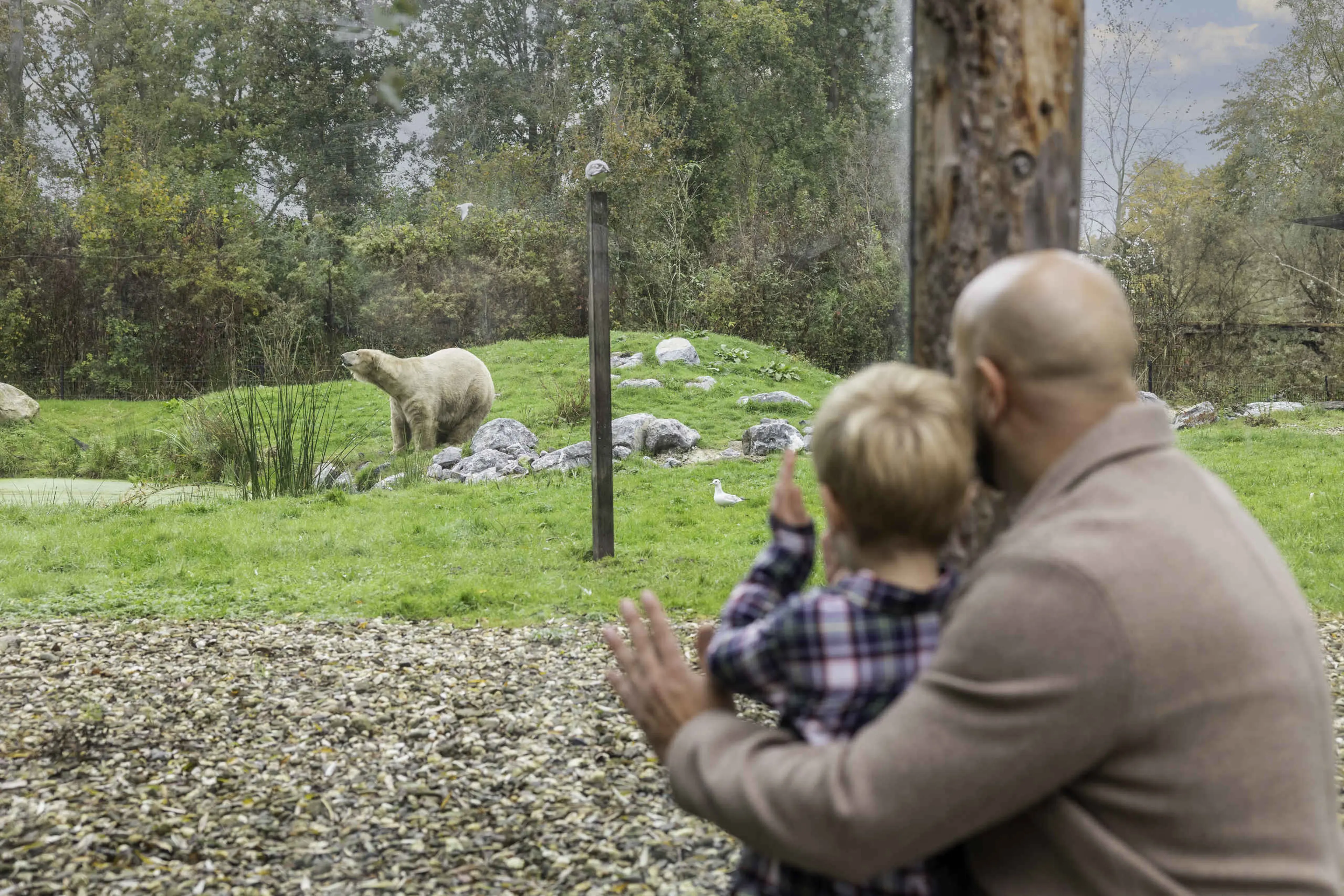 Vader en zoon bij de ijsbeer in AquaZoo Leeuwarden