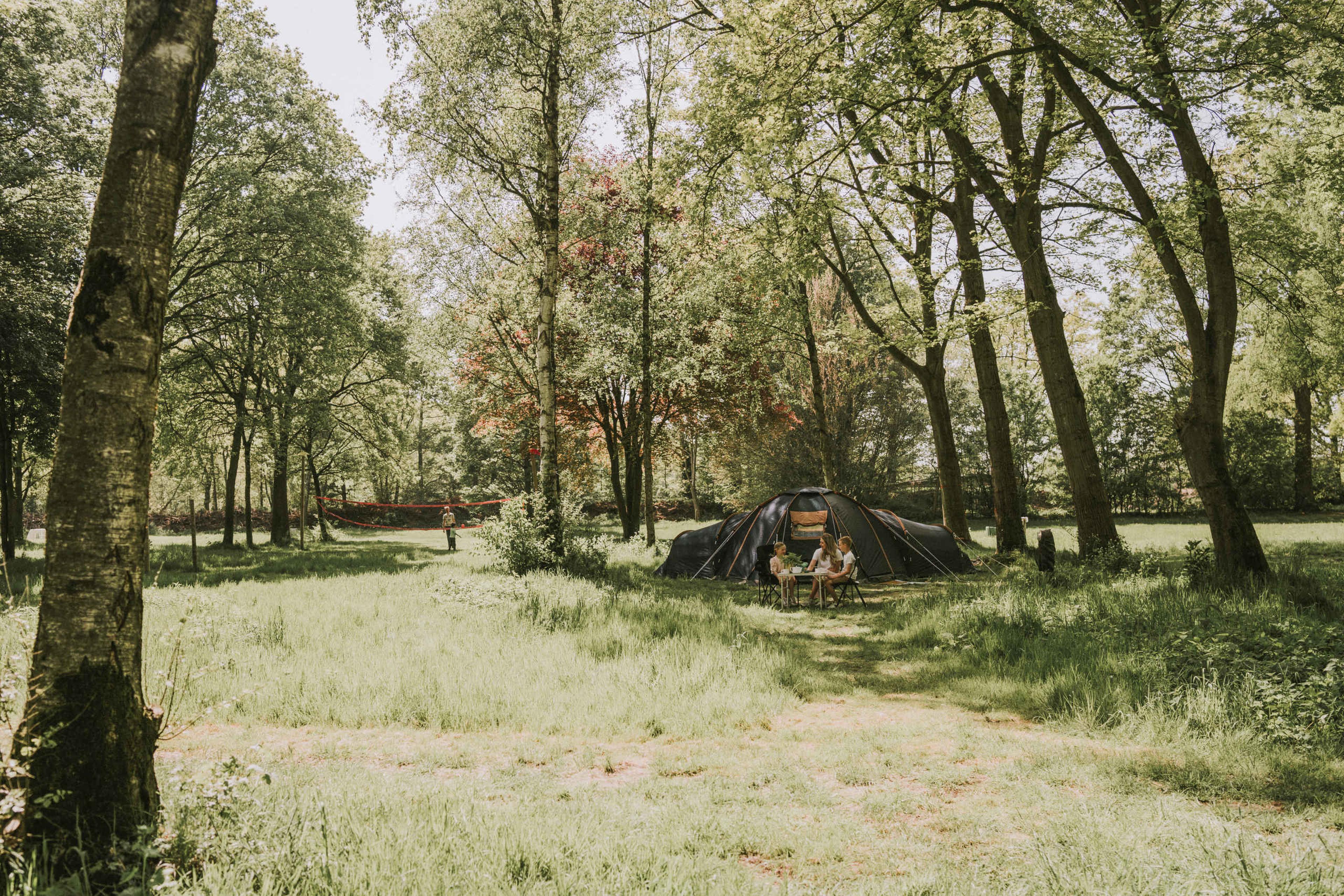 Gasten kamperen op de camping van Vakantiepark Dierenbos.