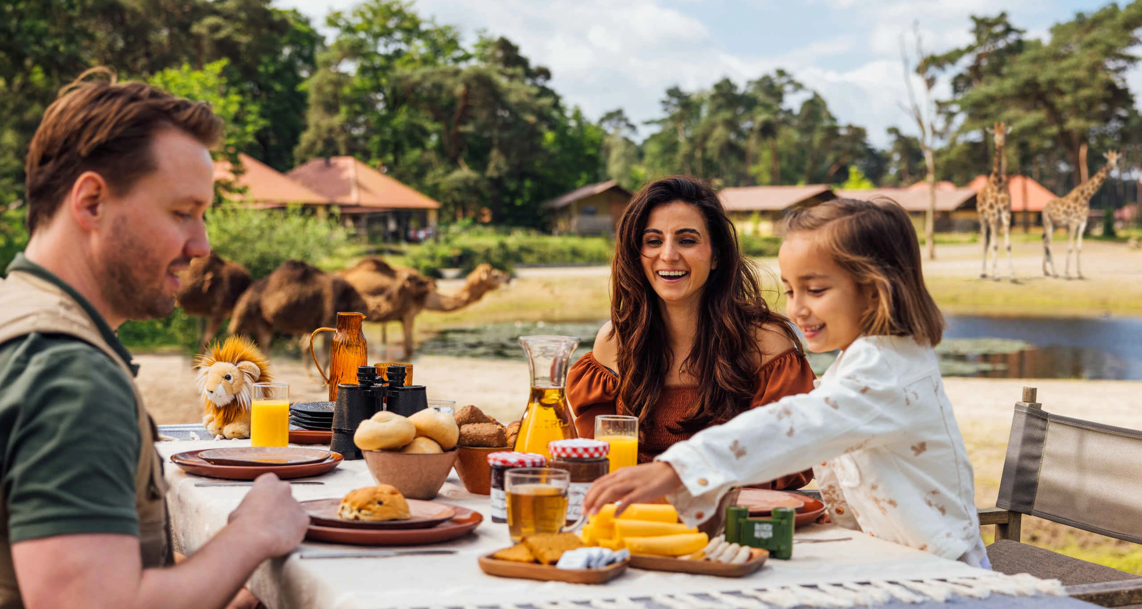 Gezin aan het ontbijten bij de dromedarissen op Safari Resort Beekse Bergen