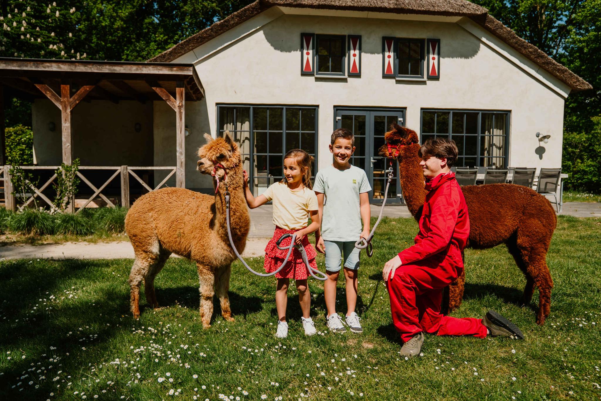 Een dierenverzorger staat met 2 kinderen bij de alpaca's voor Villa Alpaca bij Vakantiepark Dierenbos.