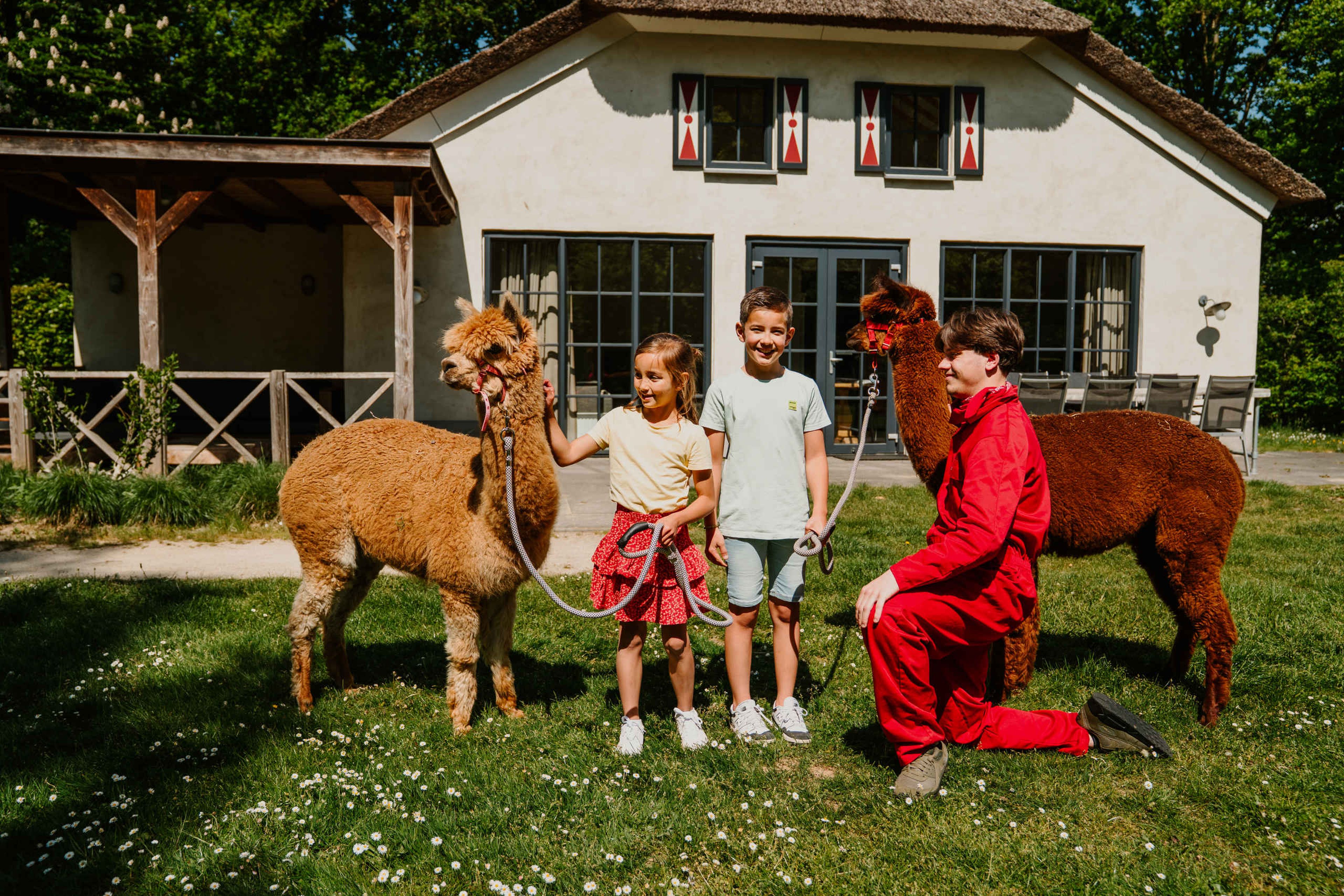 Een dierenverzorger staat met 2 kinderen bij de alpaca's voor Villa Alpaca bij Vakantiepark Dierenbos.