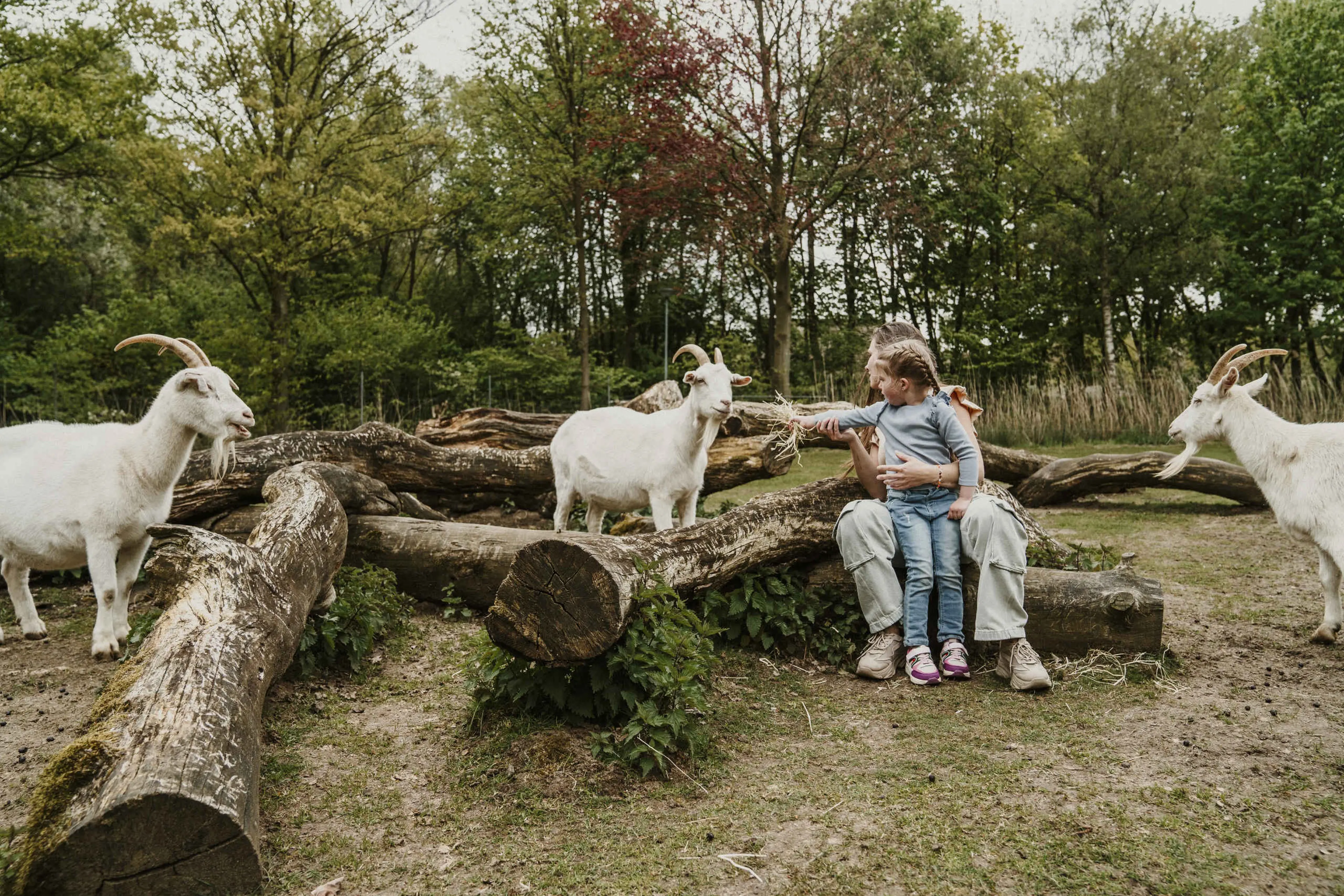 Moeder en kind met geiten in Vakantiepark Dierenbos