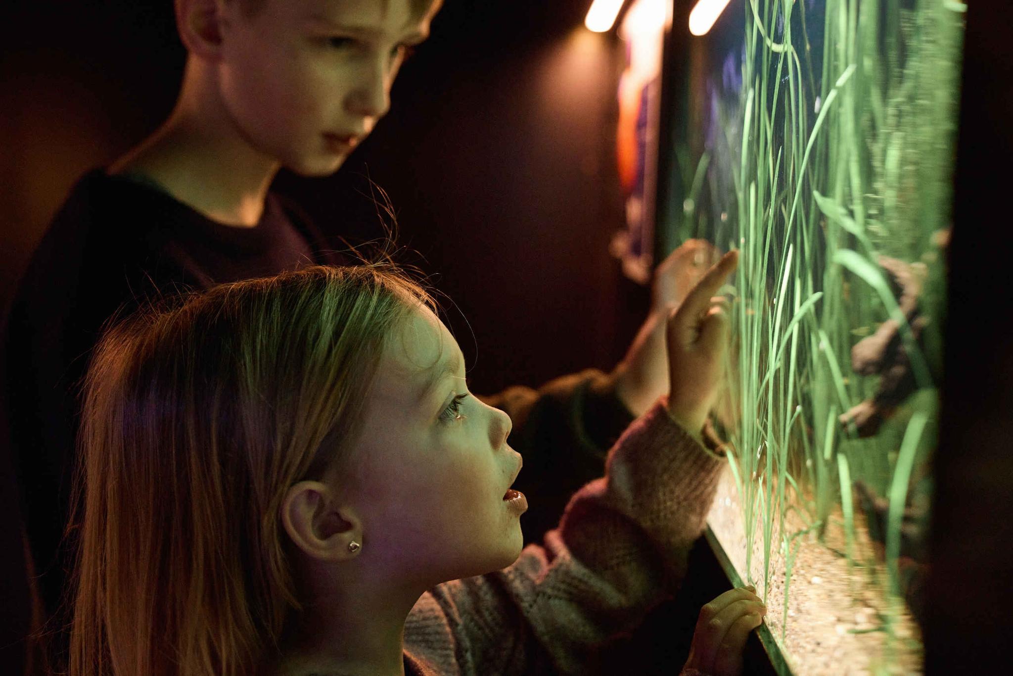 Aquarium vissen jongen en meisje AquaZoo Leeuwarden