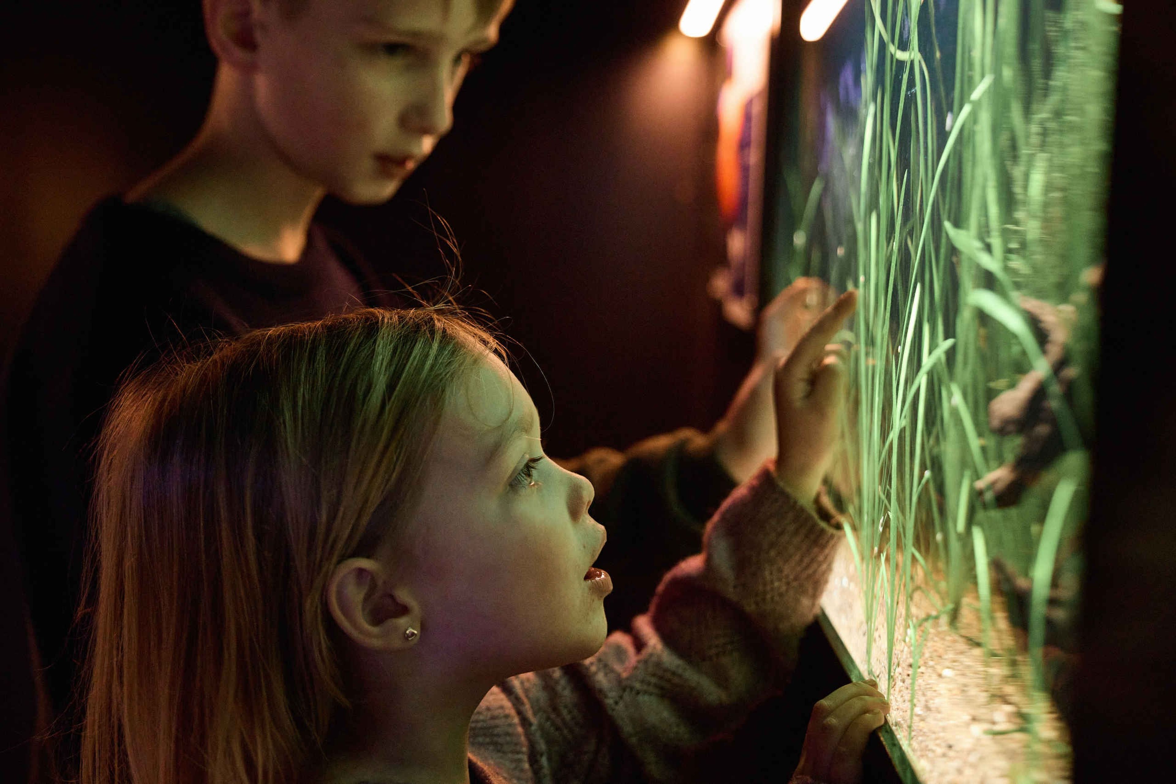 Aquarium vissen jongen en meisje AquaZoo Leeuwarden