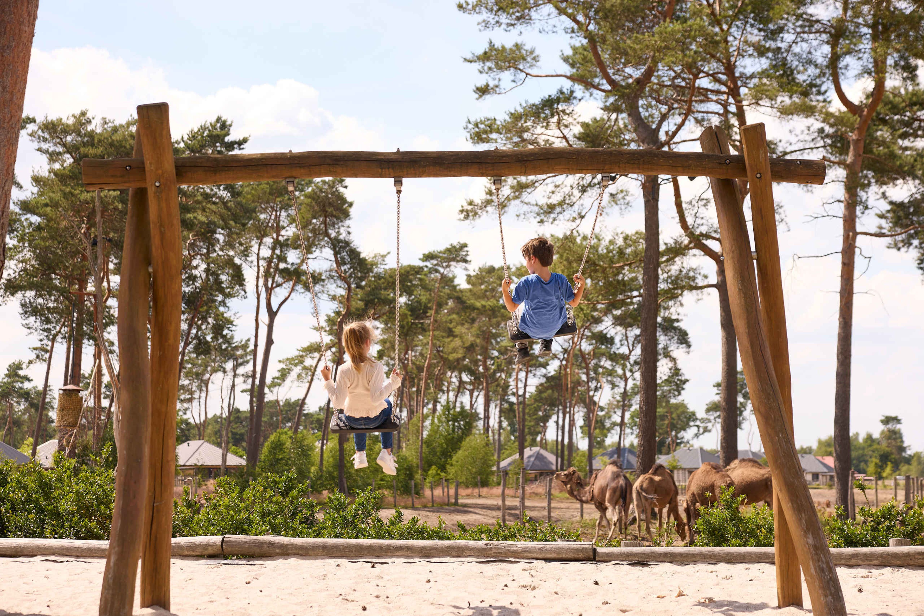 Kinderen in speeltuin bij de dromedarissen in Safari Resort Beekse Bergen