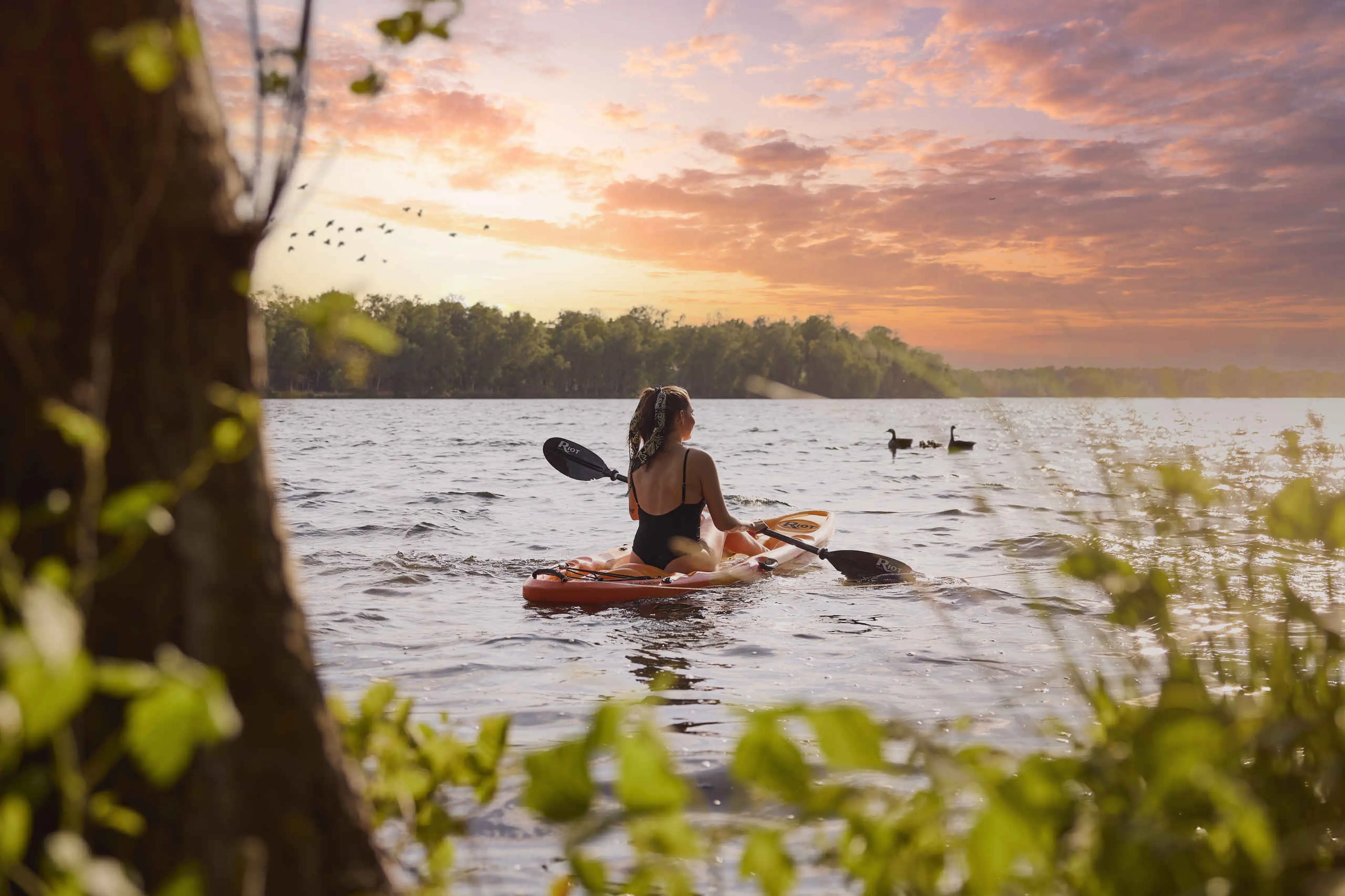 Zomer op het victoriameer een vrouw in een kano in het avondlicht bij Lake Resort Beekse Bergen