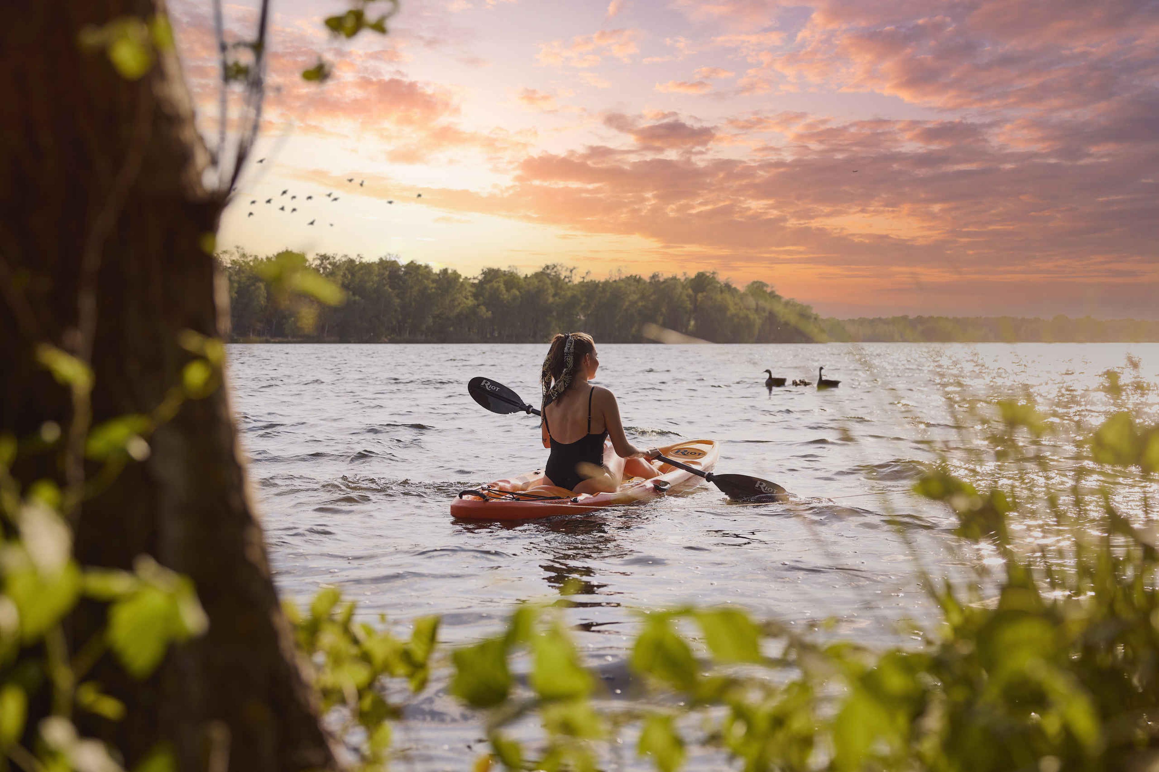 Zomer op het victoriameer een vrouw in een kano in het avondlicht bij Lake Resort Beekse Bergen