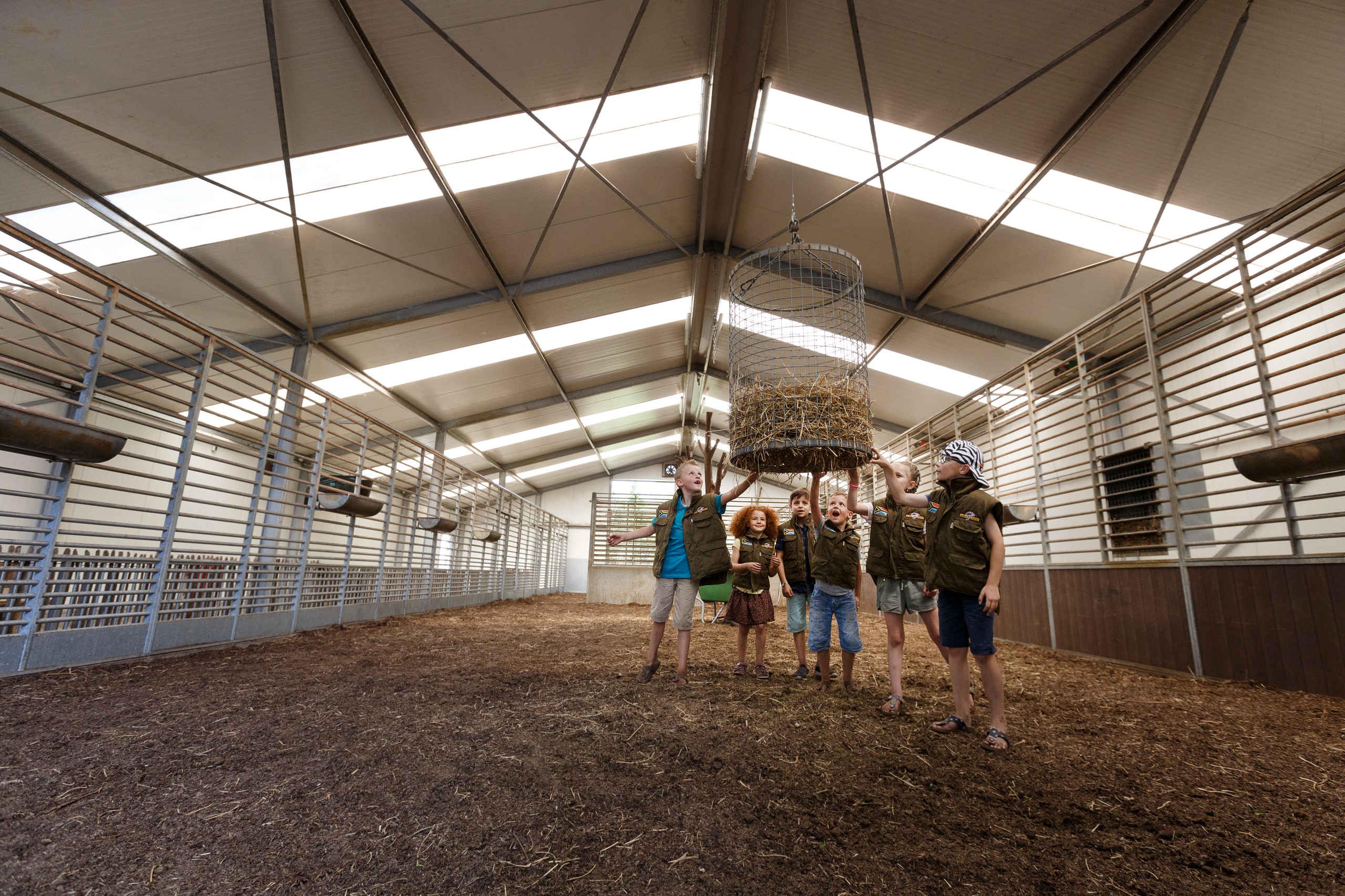 Zomer in de giraf stallen helpen kinderen Safaripark Beekse Bergen