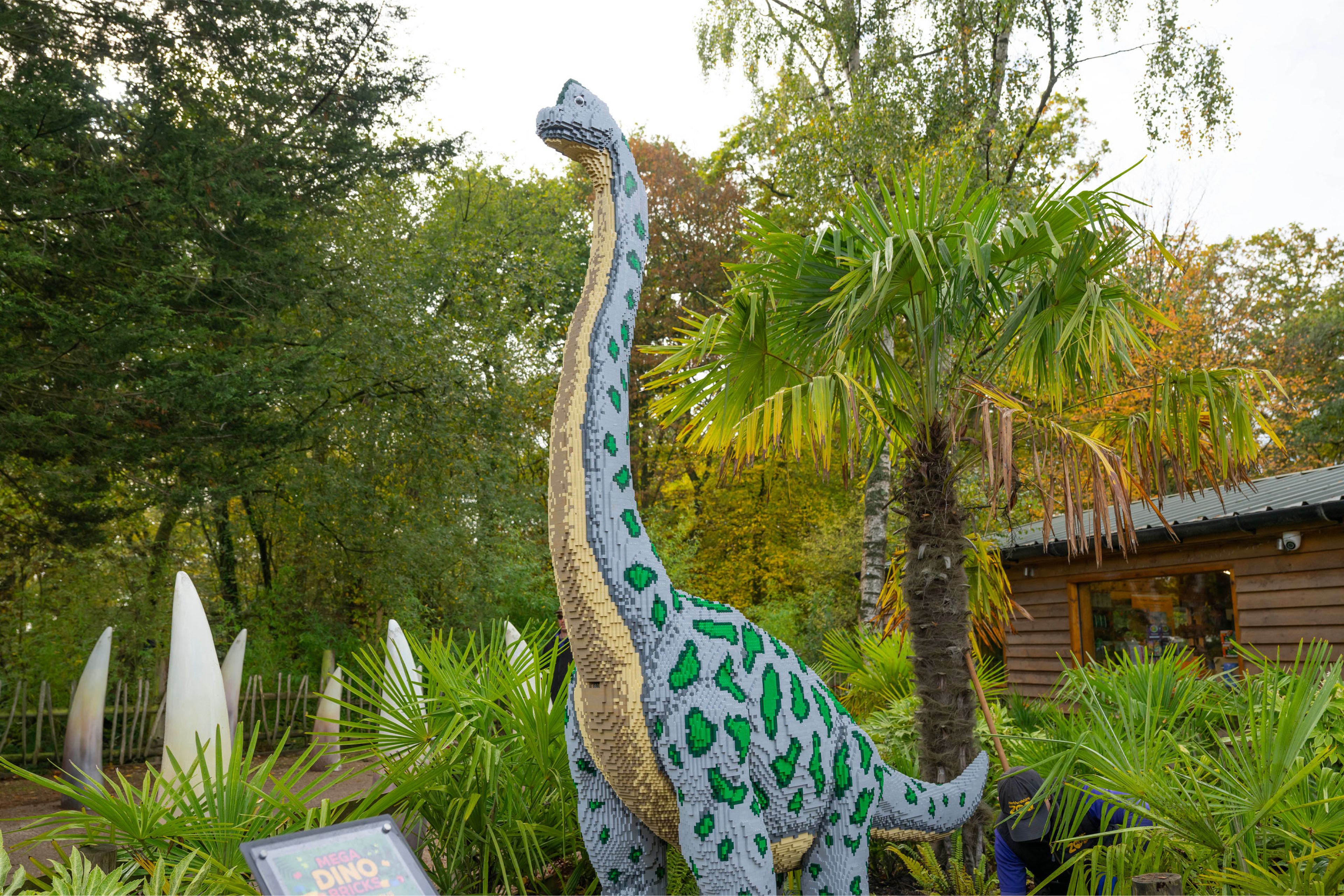 Een brachiosaurus tijdens Wild Bricks in ZooParc Overloon