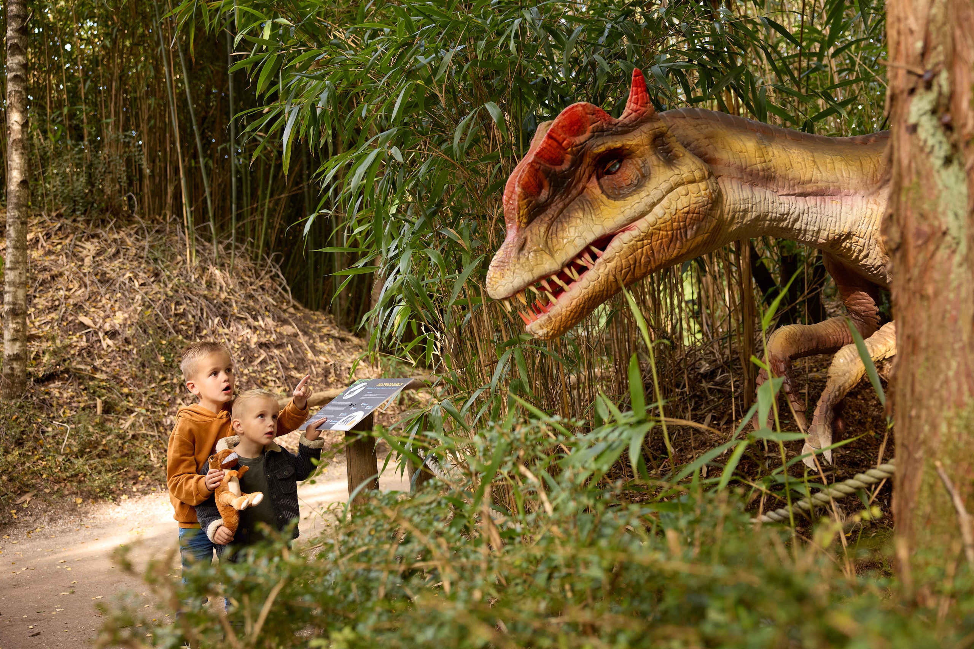 Dino weken kinderen met knuffel ZooParc Overloon