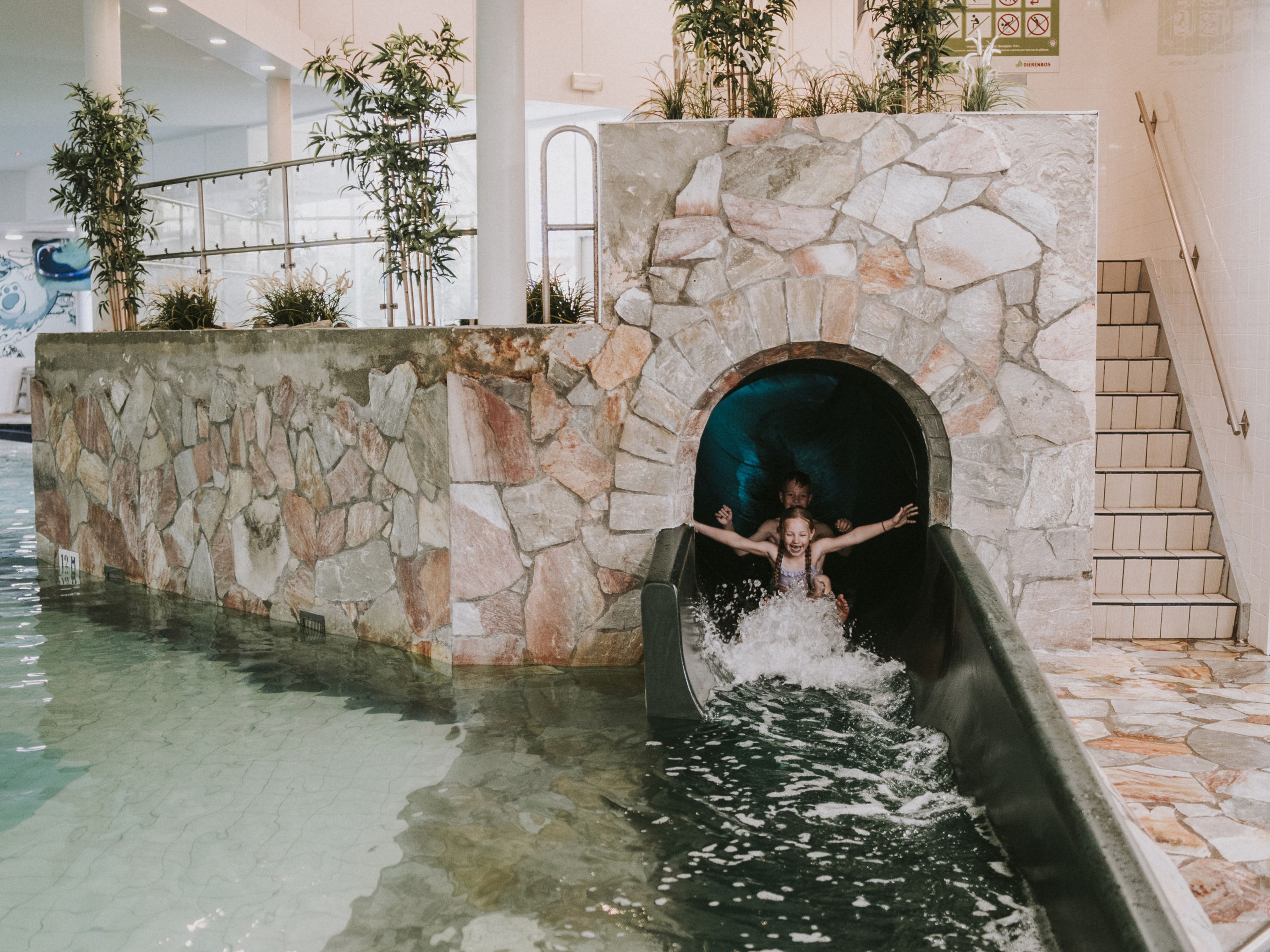 Kinderen gaan samen van de glijbaan in het zwembad van Vakantiepark Dierenbos