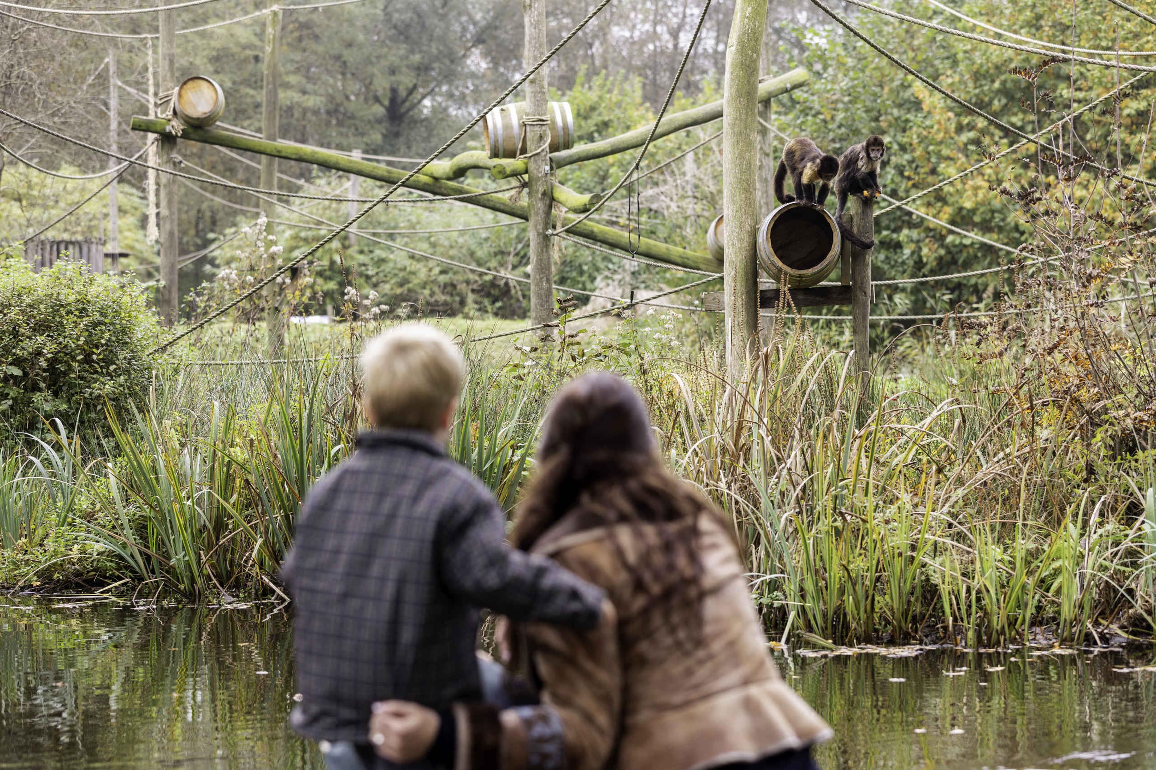 Herfst jongen met moeder bij geelborstkapucijnaap in AquaZoo Leeuwarden Dierentuintickets NL