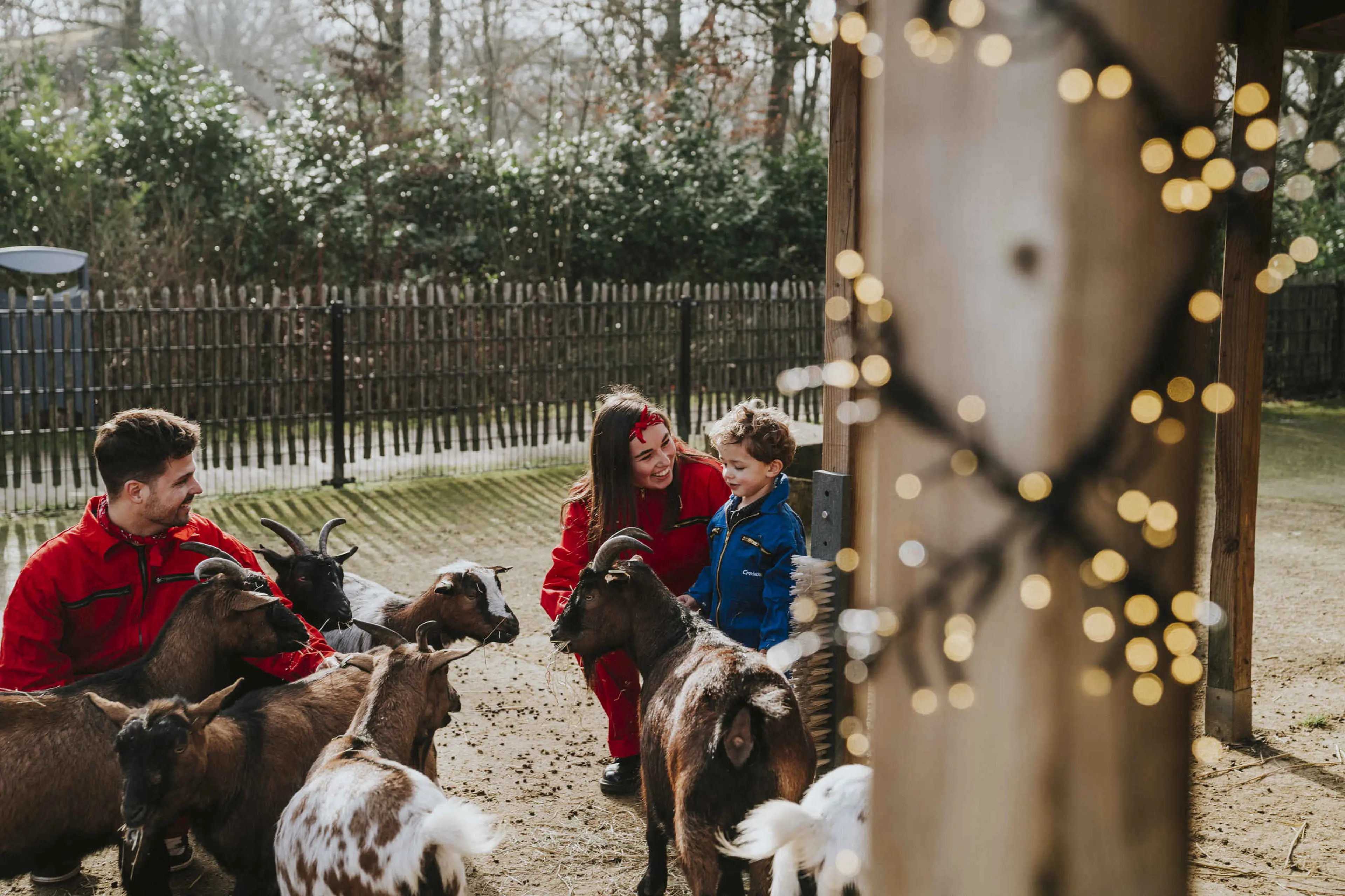 Twee dierenverzorgers en een jongen staan bij de geitjes in de winter bij Vakantiepark Dierenbos.