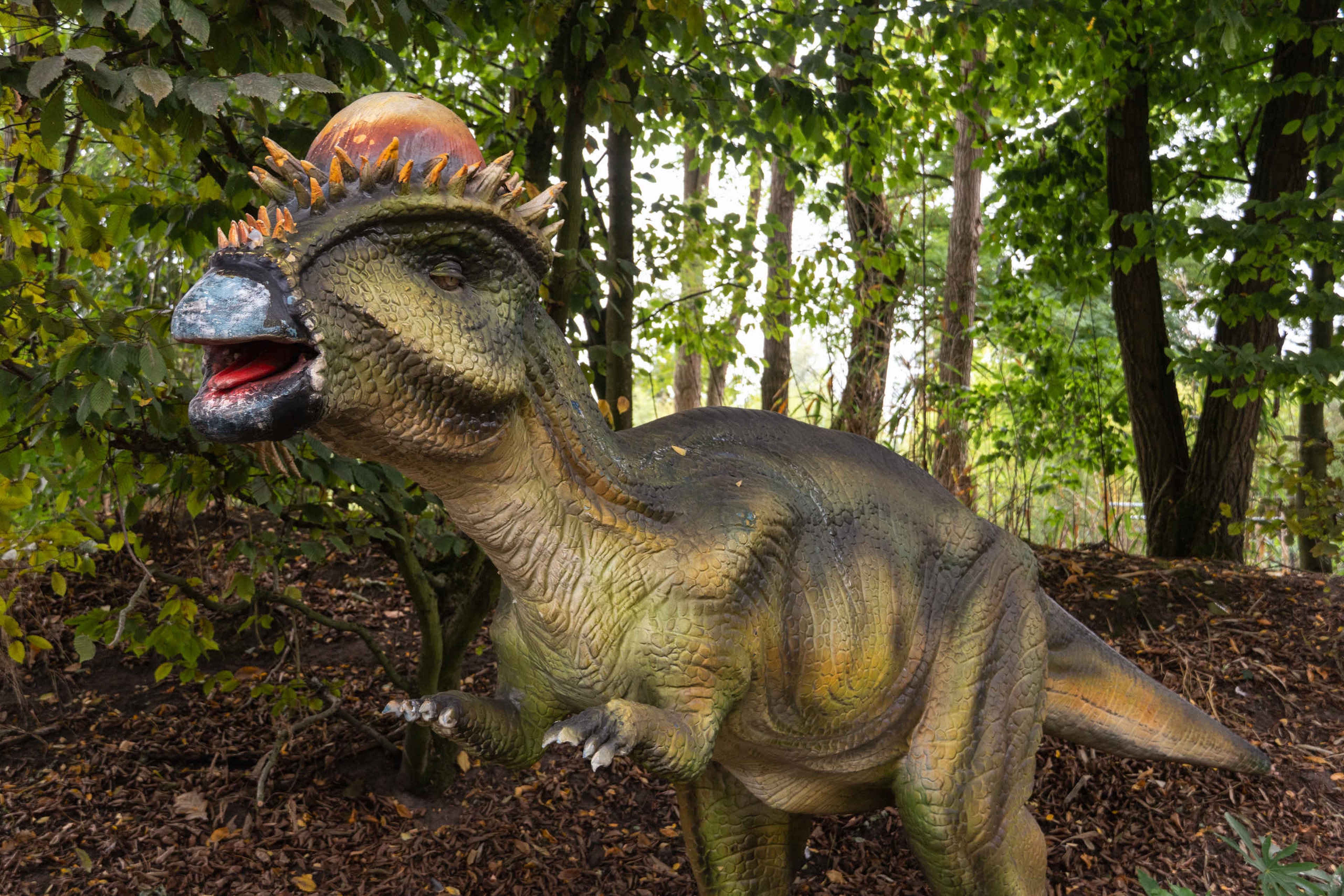 Een Pachysephalosaurus tijdens de Dino Weken in ZooParc Overloon