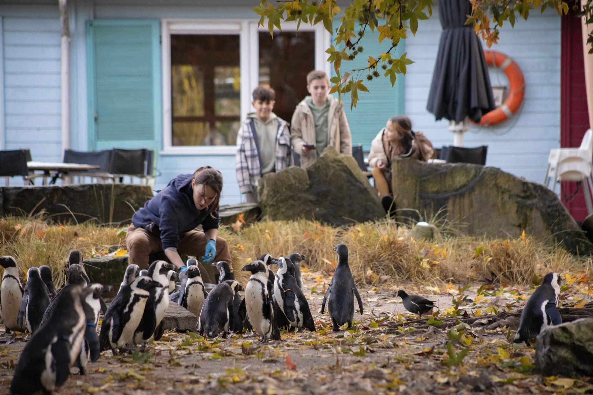 Kinderfeestje Pinguins jongen en meisje ZooParc Overloon