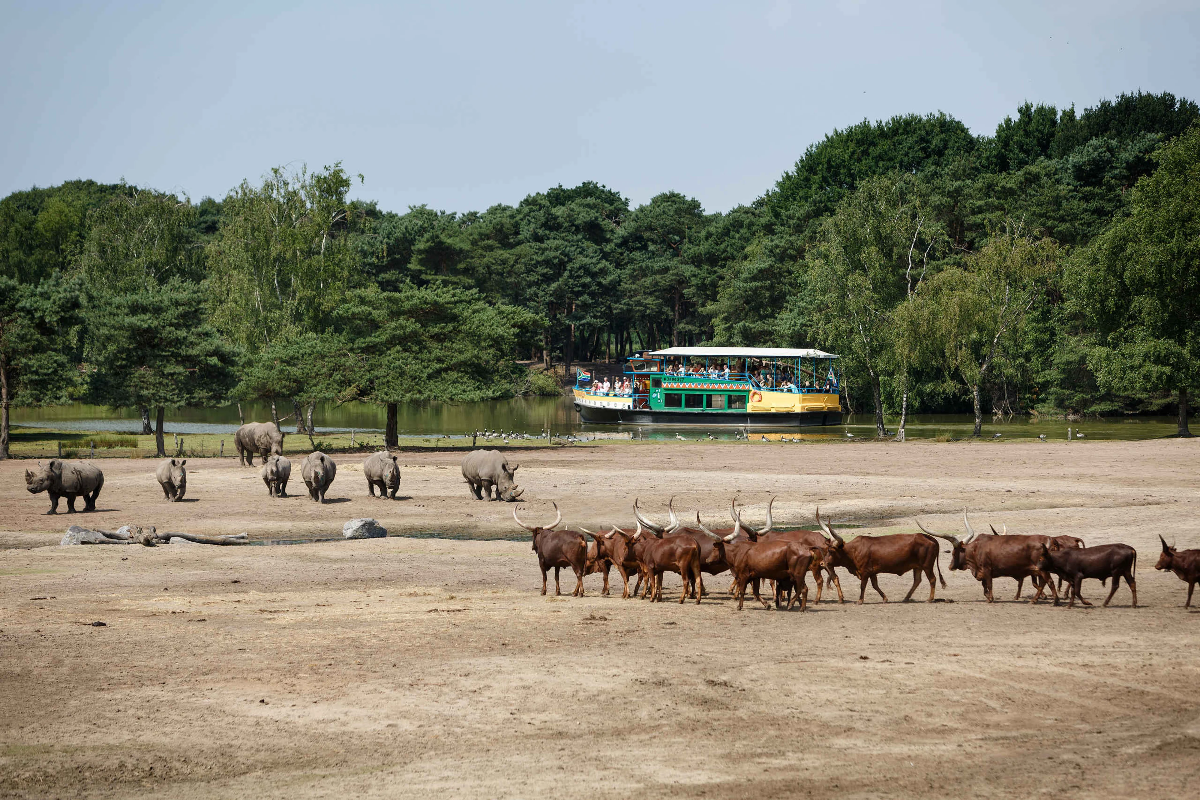 Savanne wilde dieren bootsafari in Safaripark Beekse Bergen