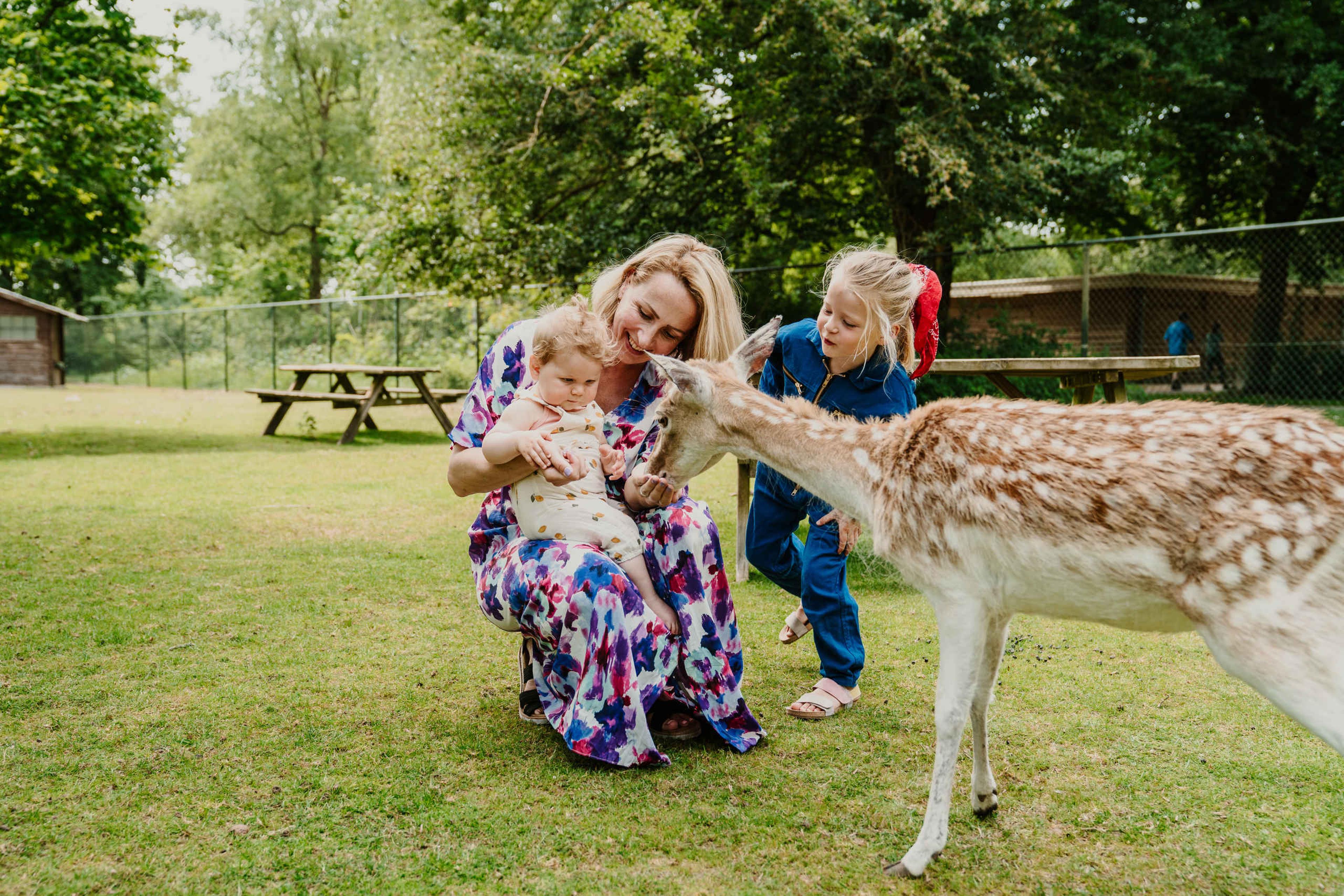 Een moeder geeft met haar twee kinderen eten aan een hertje bij vakantiepark Dierenbos.