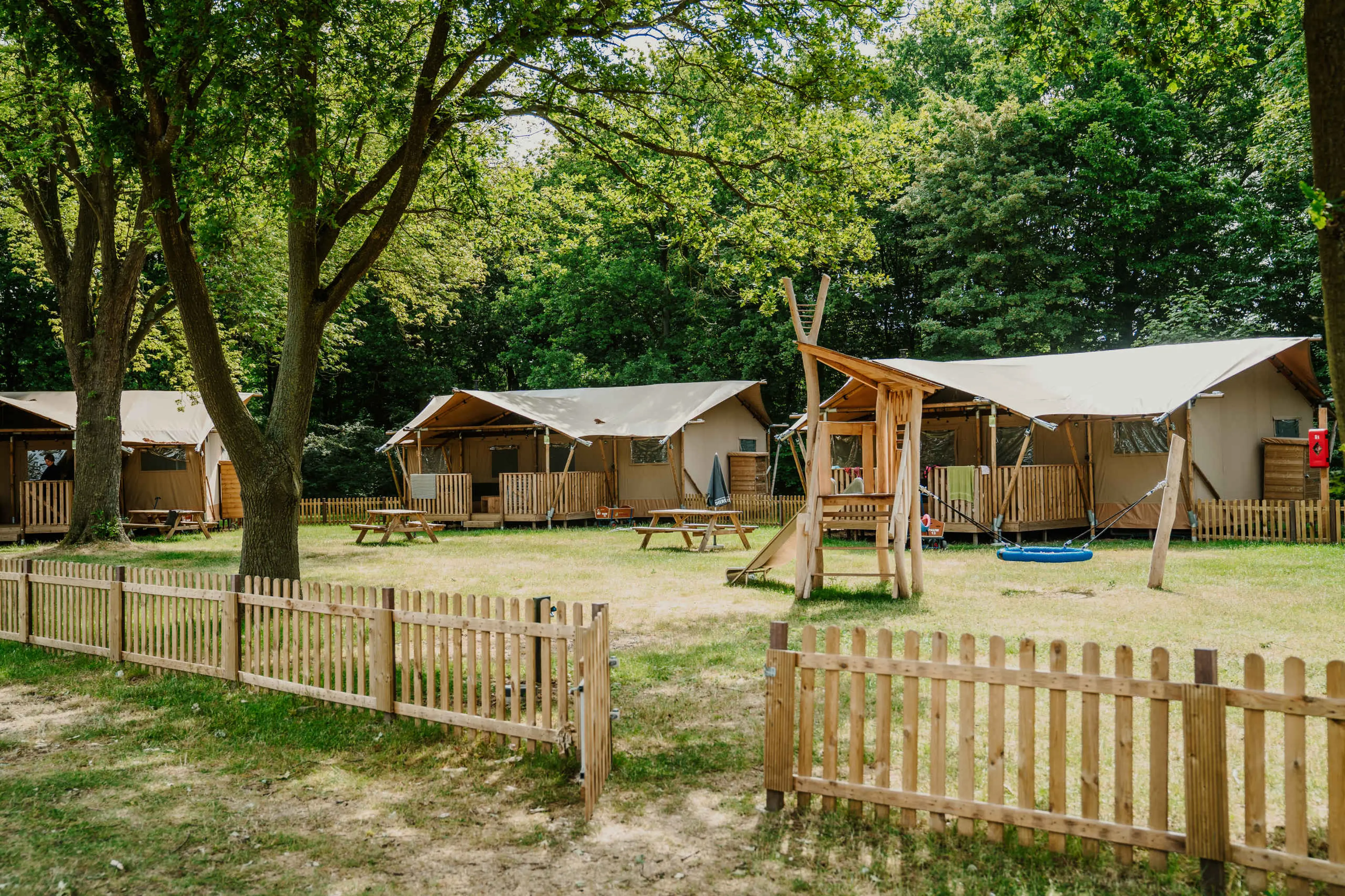 Glamping met kinderen in een Luxe Kids Lodgetent Pauw op Vakantiepark Dierenbos