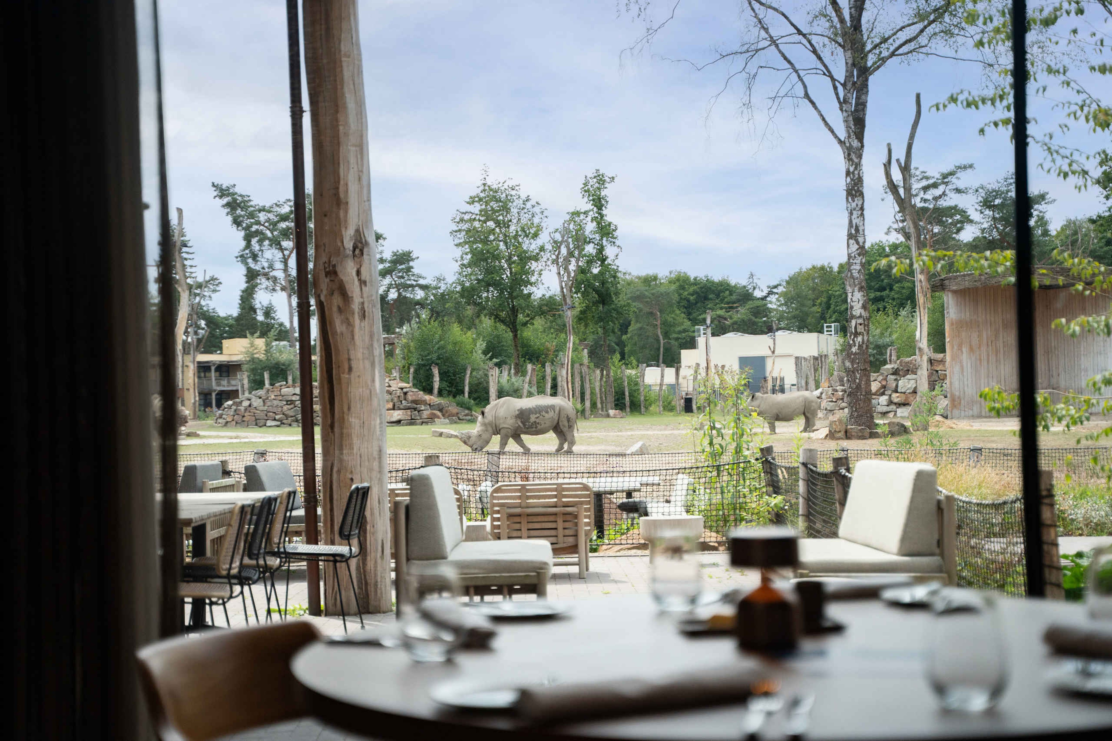 Twee neushoorns lopen over de savanne bij Bar & Restaurant Nommos.