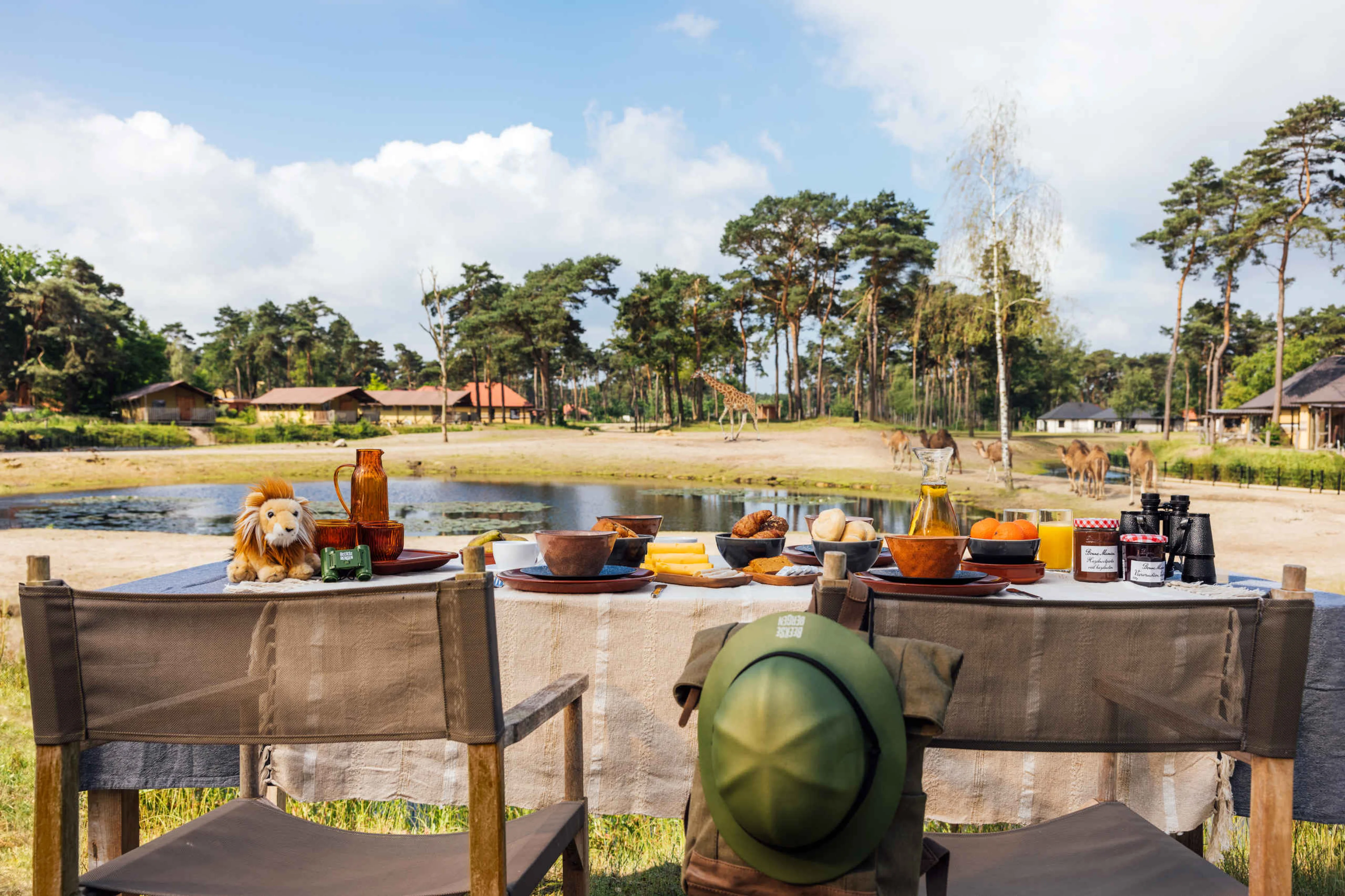 Ontbijt aan de savanne van Safari Resort Beekse Bergen
