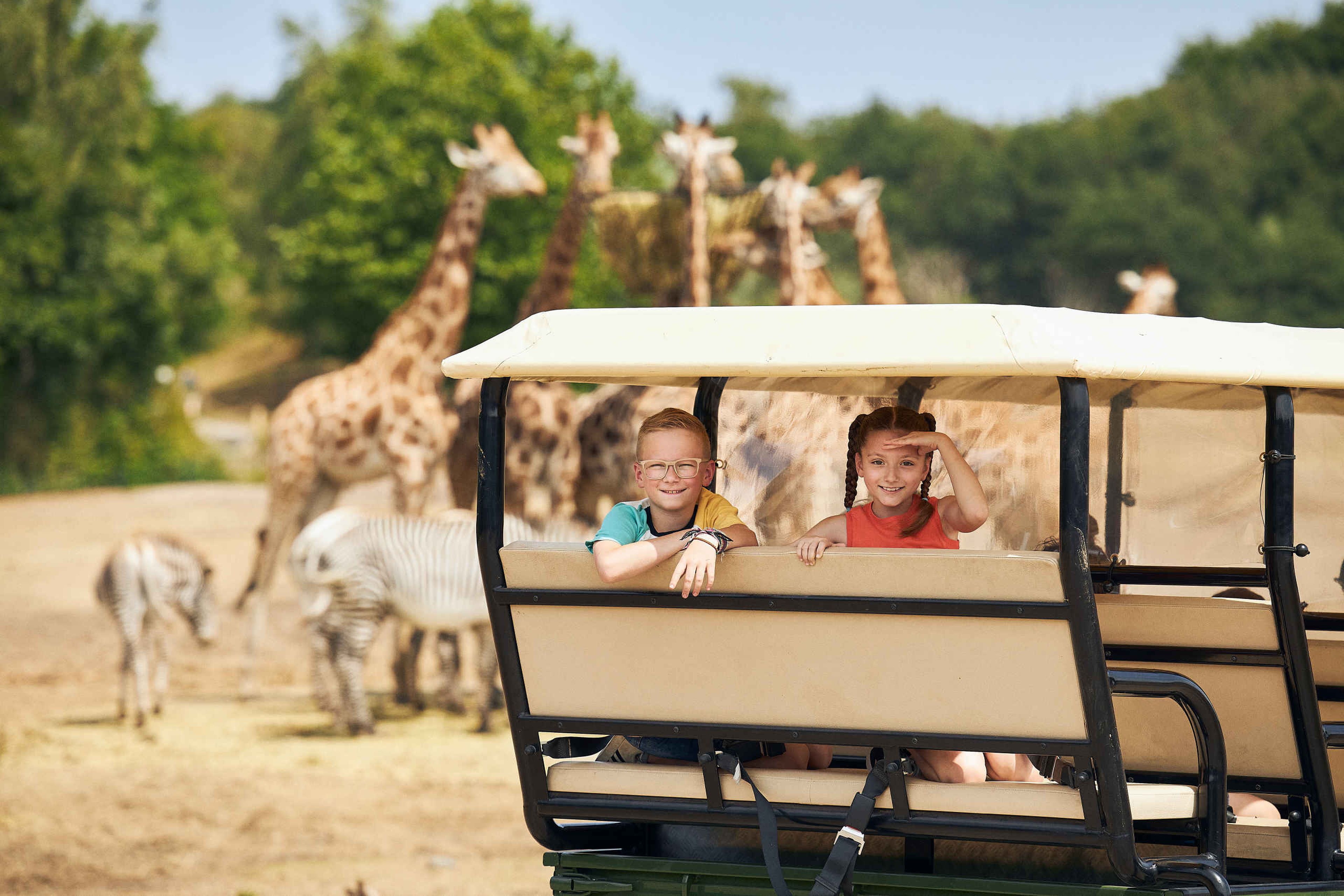 Giraffen bij kinderfeestje Gamedrive met kinderen Safaripark Beekse Bergen
