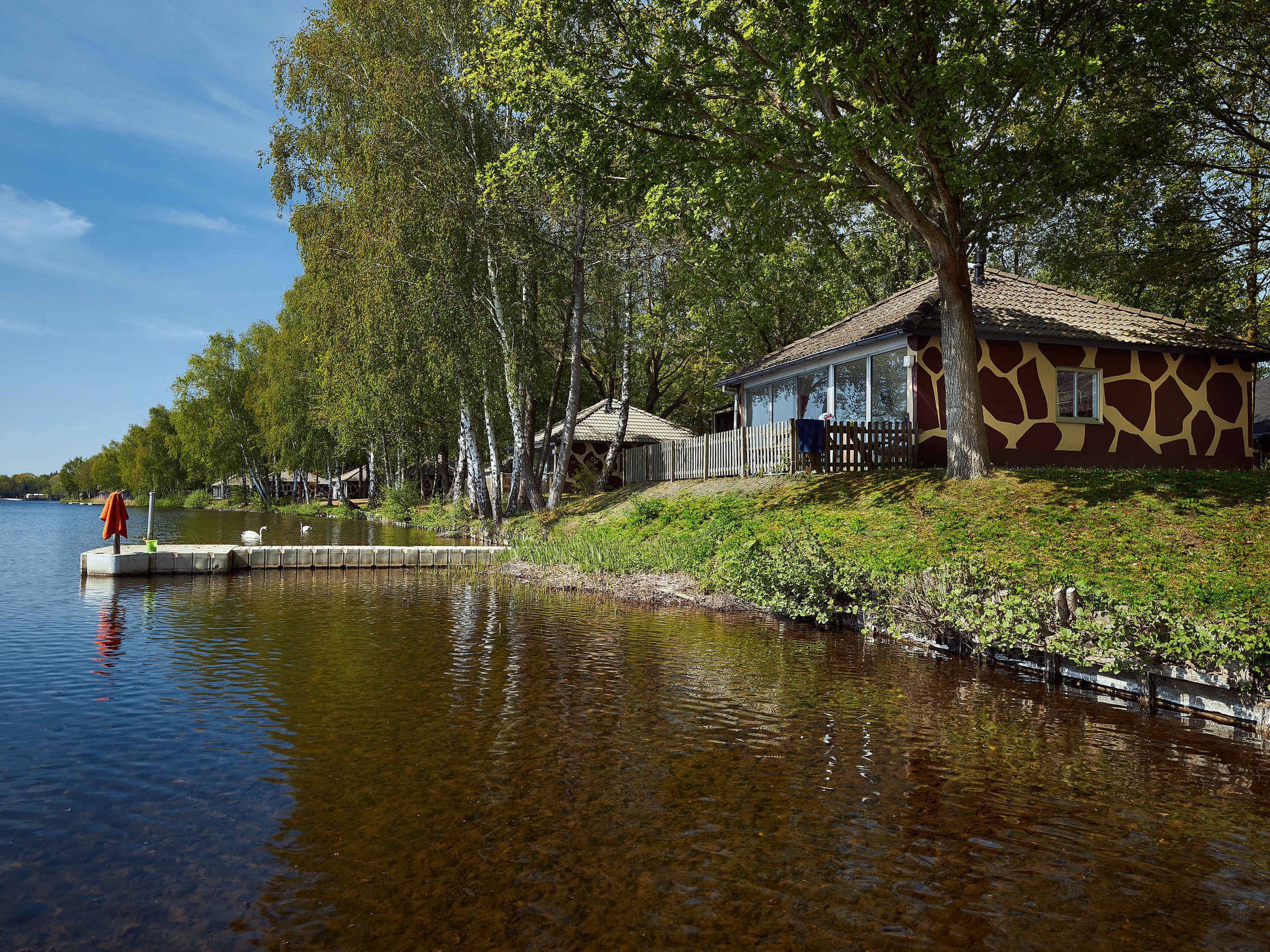 Accommodatie victoriemeer de kidsjungalow in de natuur met terras op Lake Resort Beekse Bergen