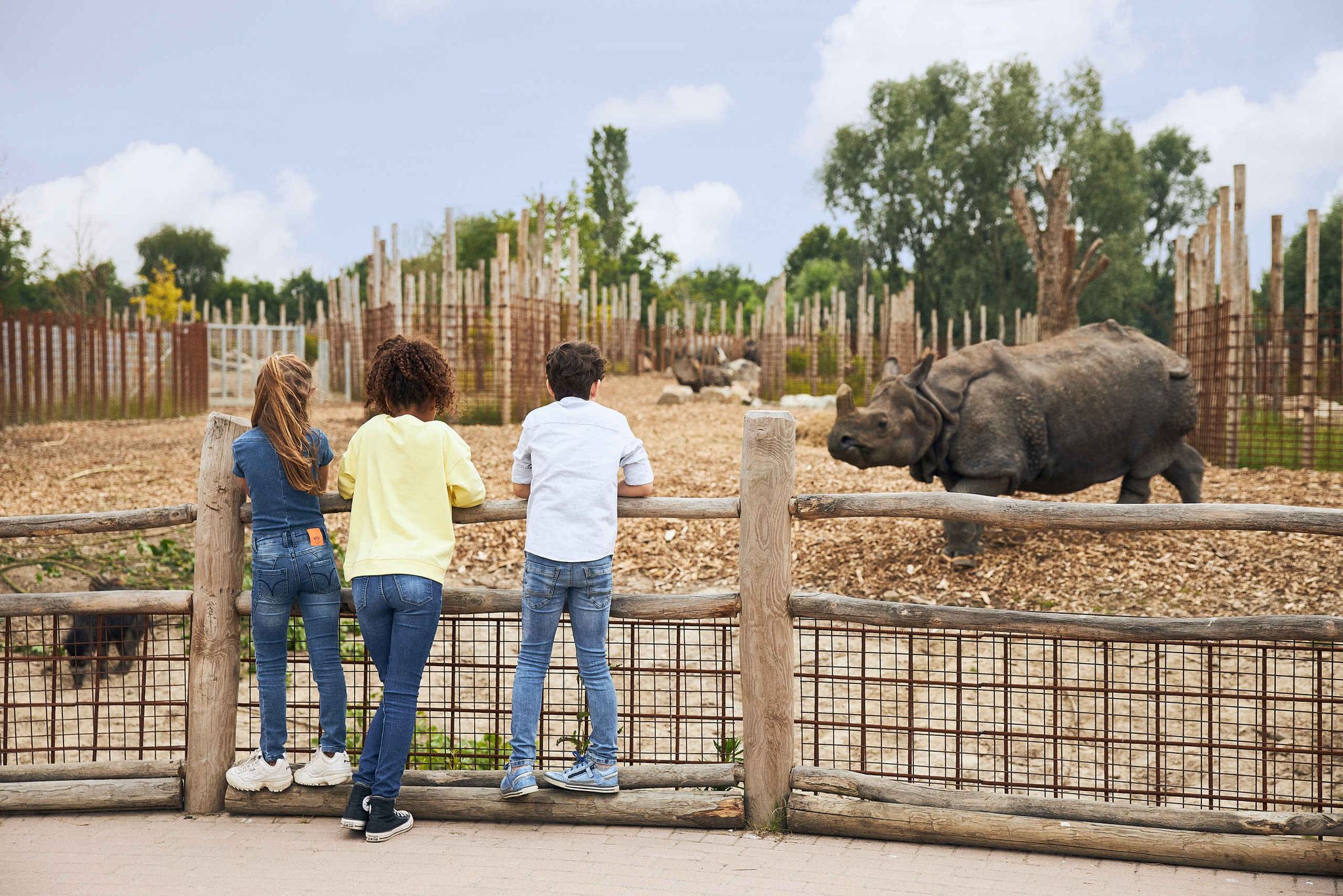 Kinderen bij de indische neushoorn in dierentuin Eindhoven Zoo in Brabant