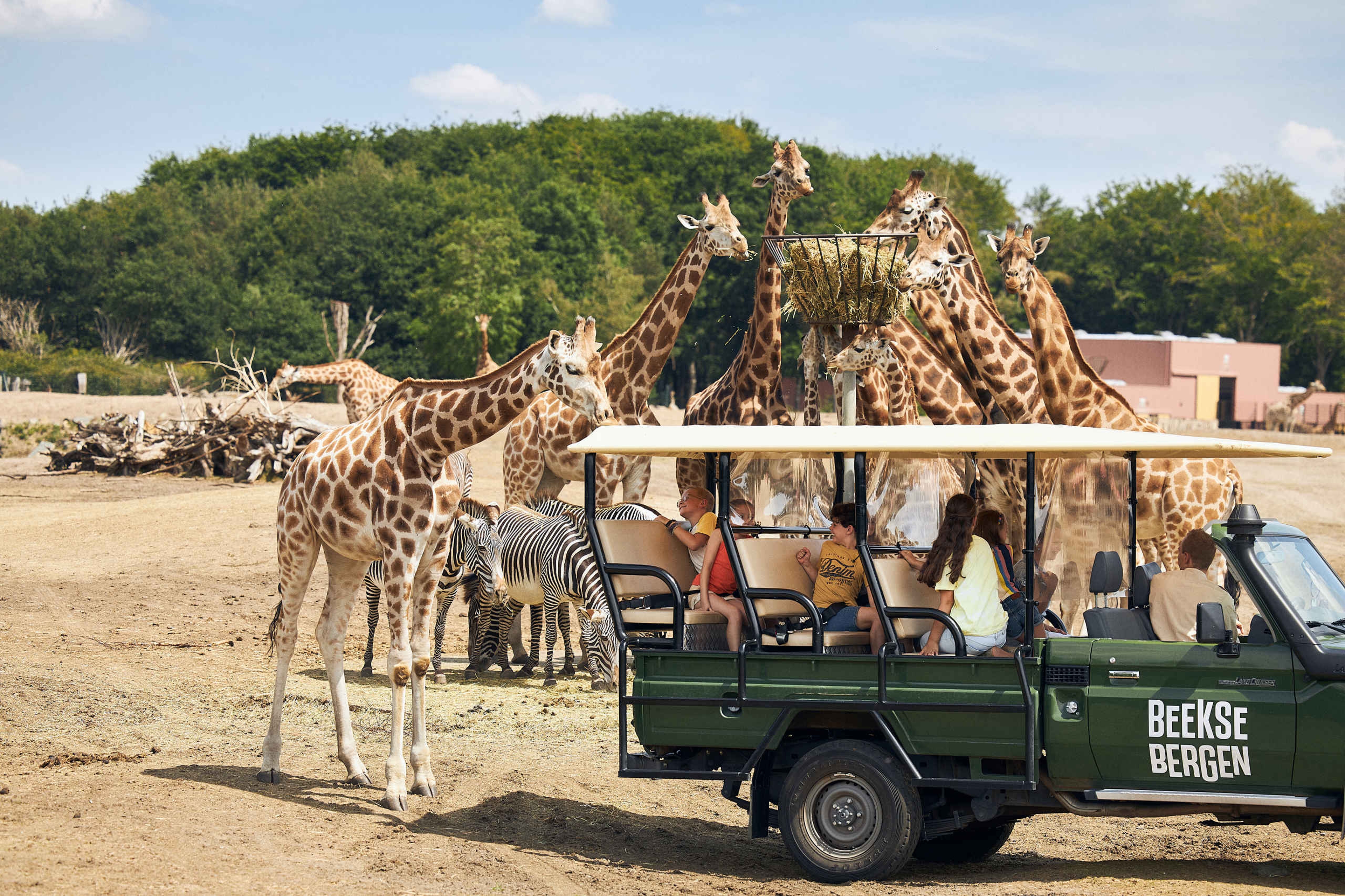 Giraf kinderfeestje gamedrive zebra Safaripark Beekse Bergen