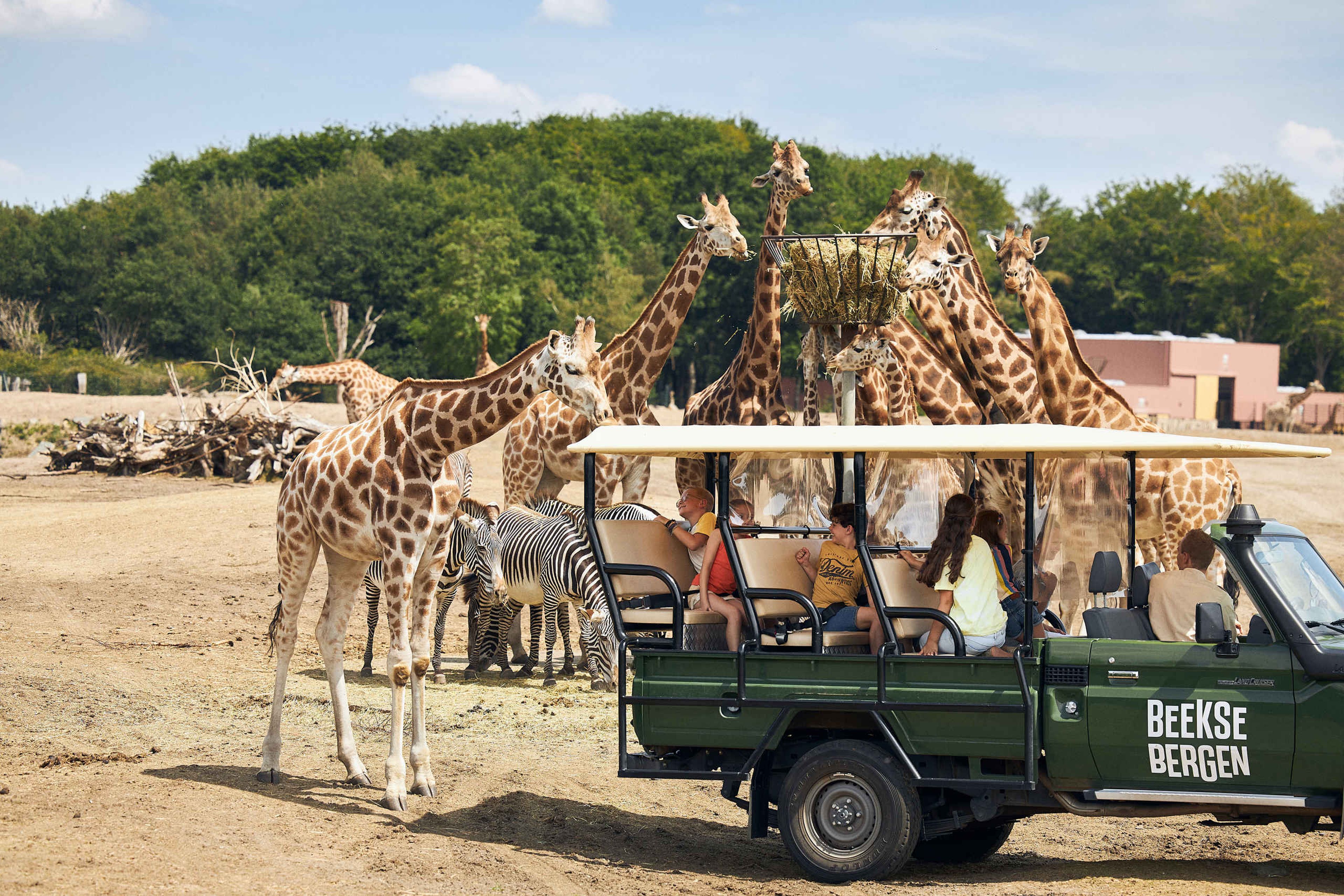 Giraf kinderfeestje gamedrive zebra Safaripark Beekse Bergen