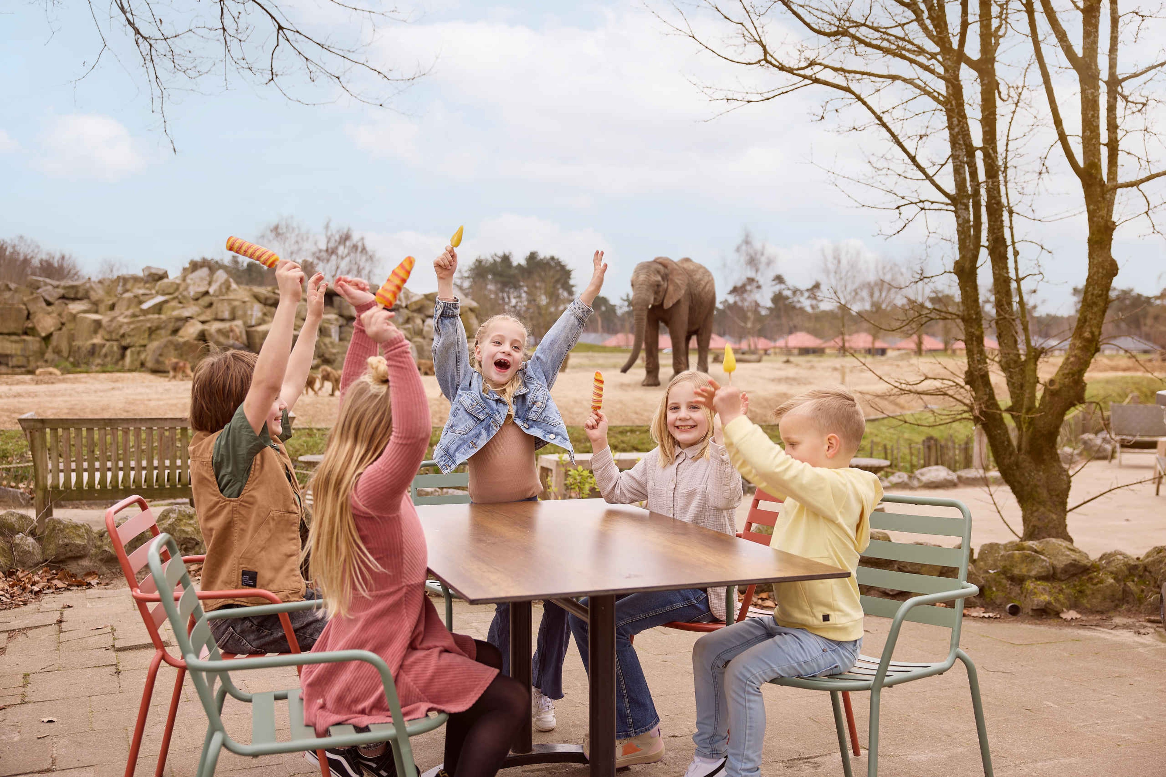 Kinderen bij olifant tijdens schoolreisje in Safaripark Beekse Bergen
