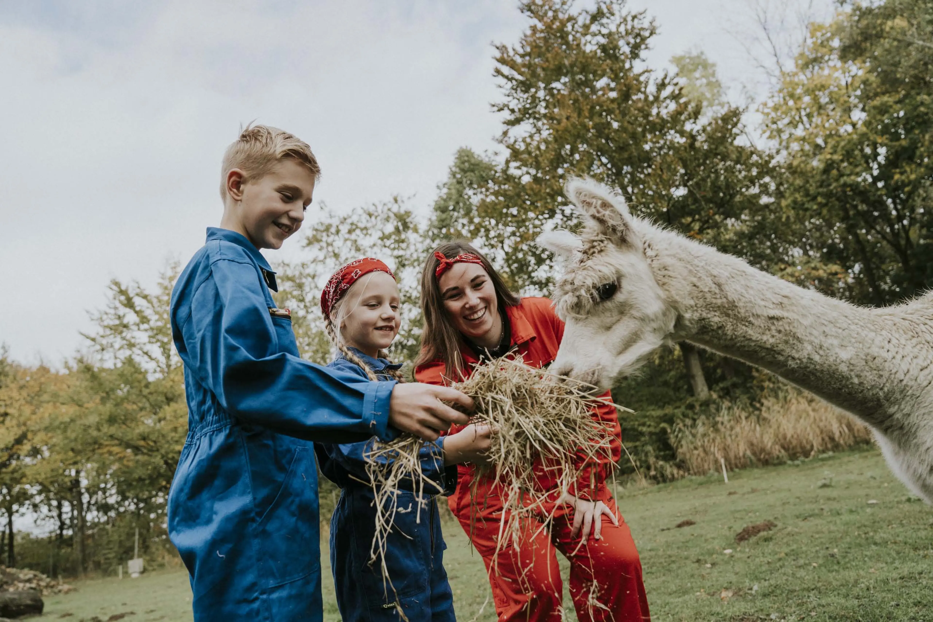 Kinderen en dierenverzorger voeren een alpaca in de kinderboerderij van Vakantiepark Dierenbos