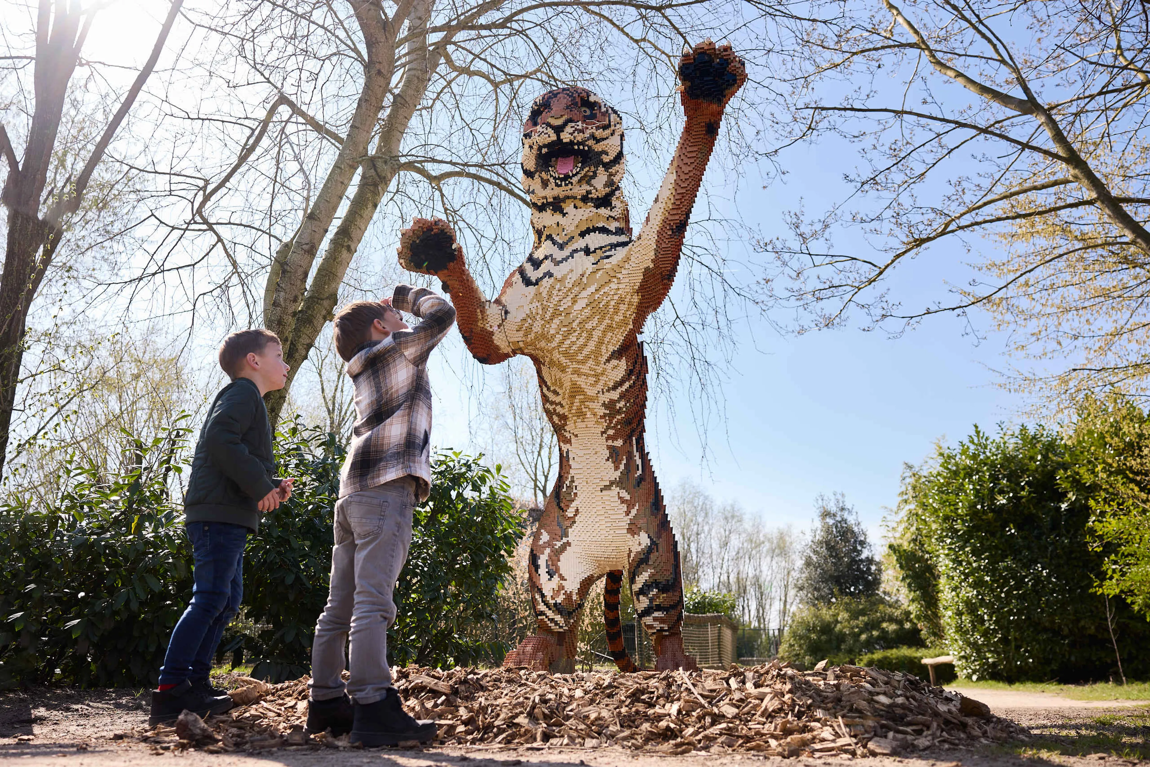 Twee kinderen kijken naar de tijger tijdens Wild Bricks in ZooParc Overloon