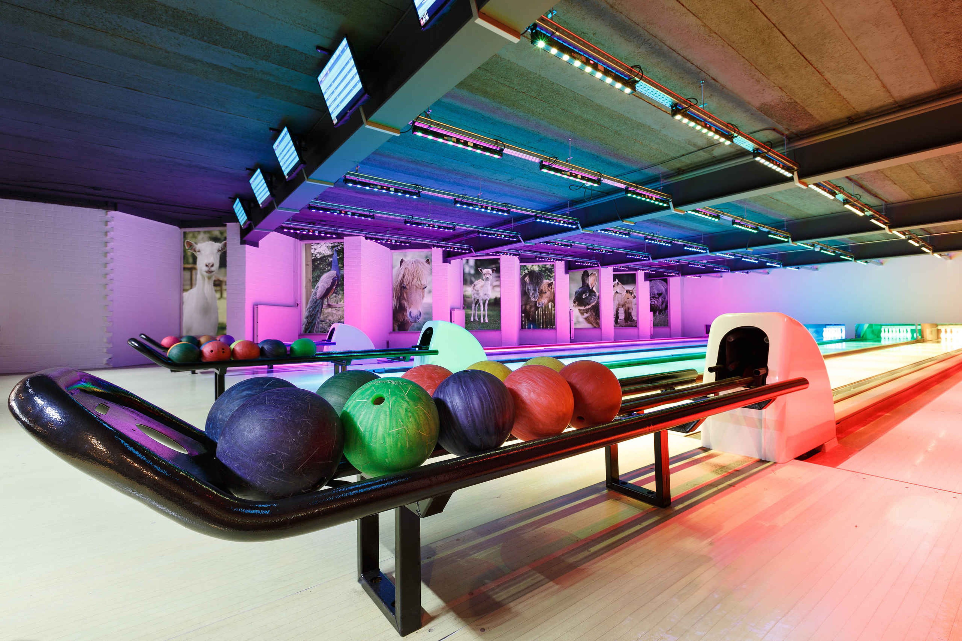 Rek met bowlingballen bij de bowlingbaan op Vakantiepark Dierenbos