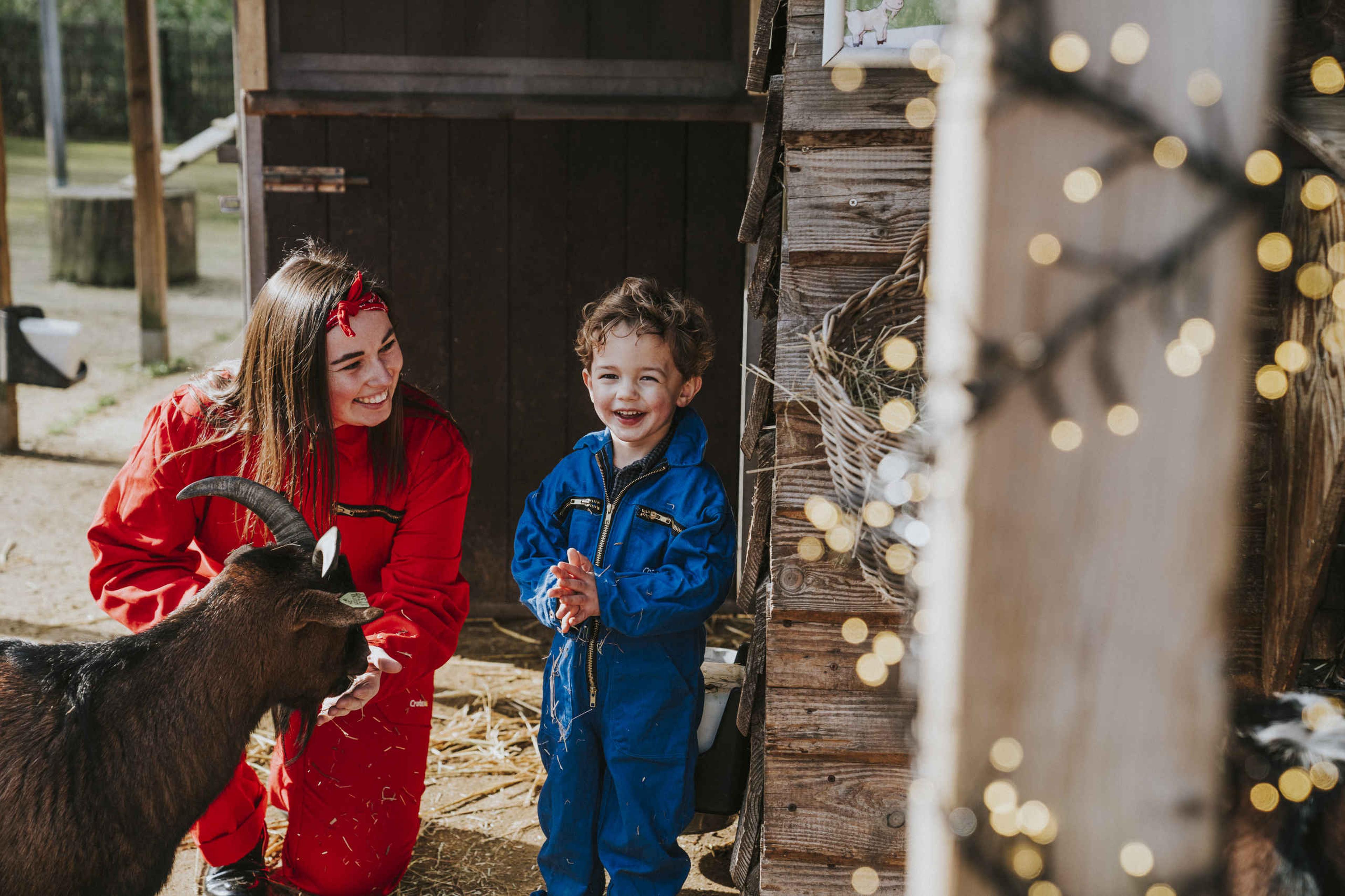 Een jongen helpt de dierenverzorgster bij de geitenstal.