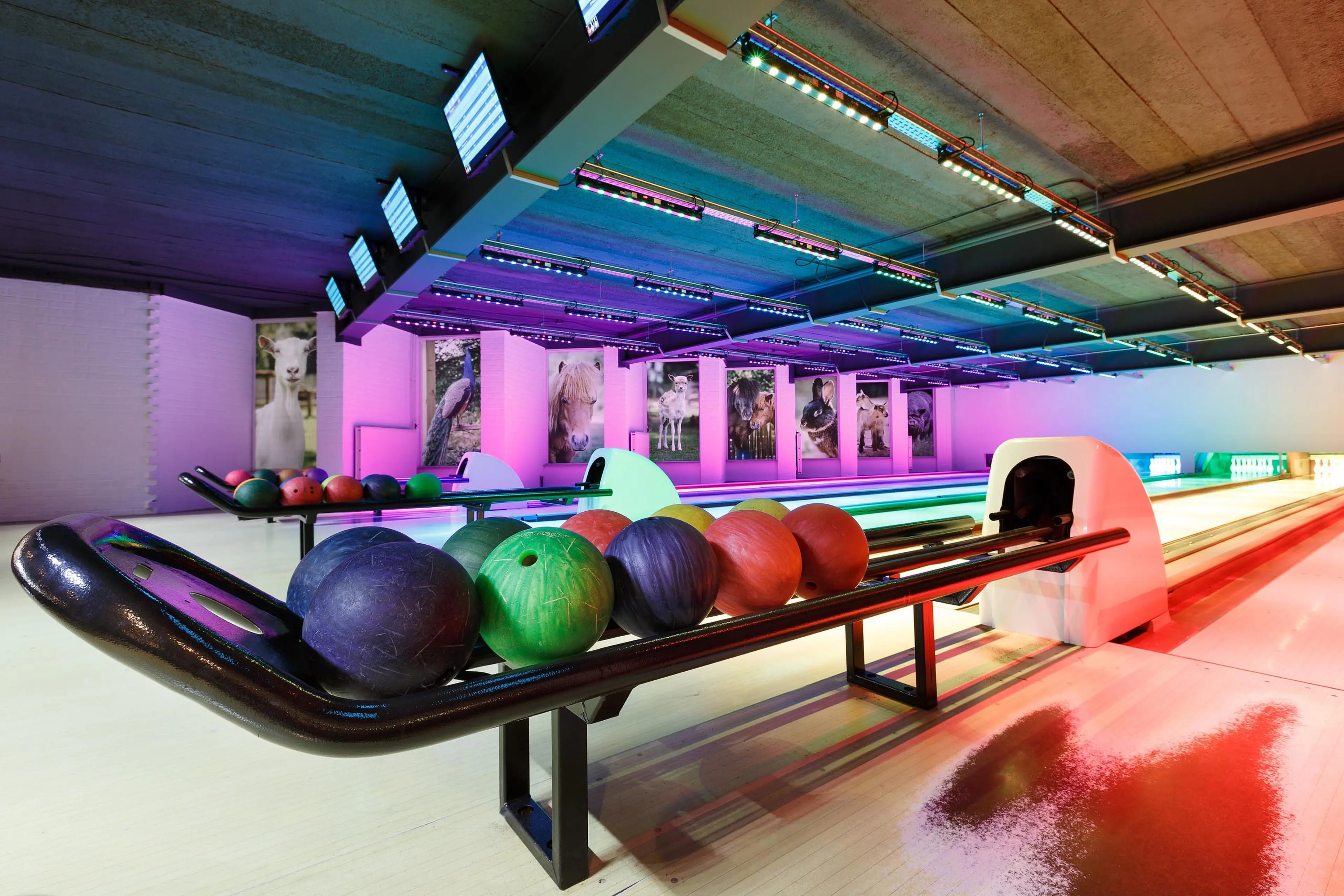 Bowlingbanen met bowlingballen bij Vakantiepark Dierenbos