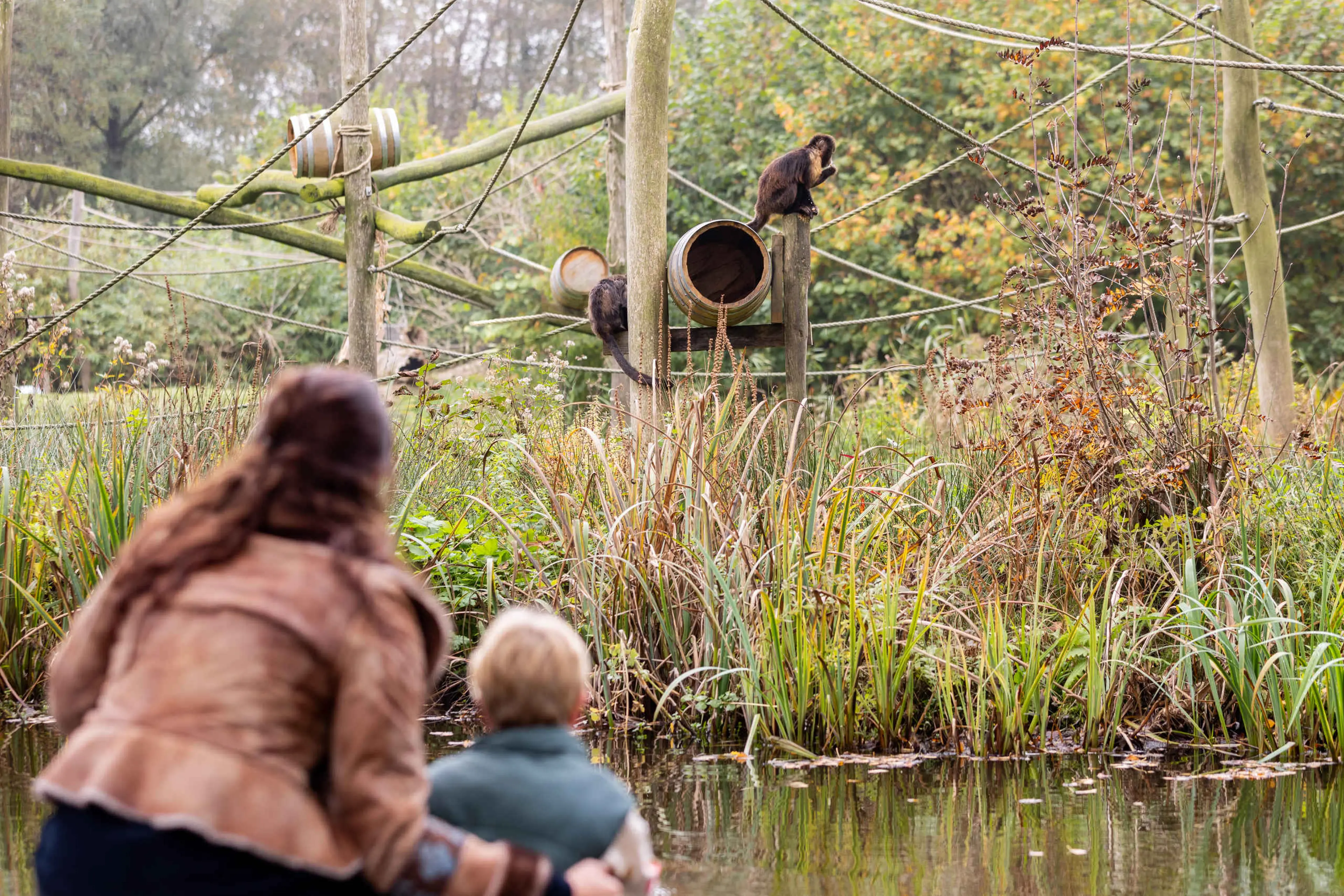 Herfst moeder met zoon bij de geelborstkapucijnaap in AquaZoo Leeuwarden
