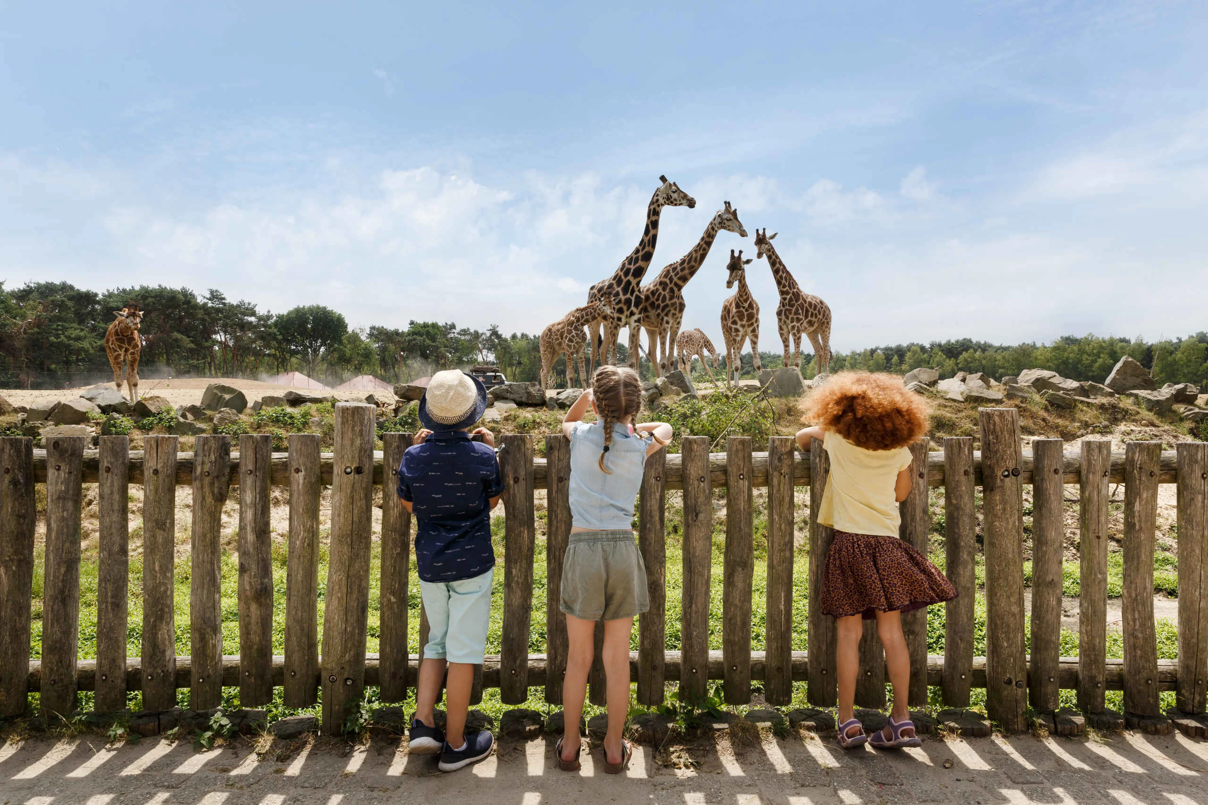 Kinderen bij de giraffen tijden een schoolreisje bij Safaripark Beekse Bergen