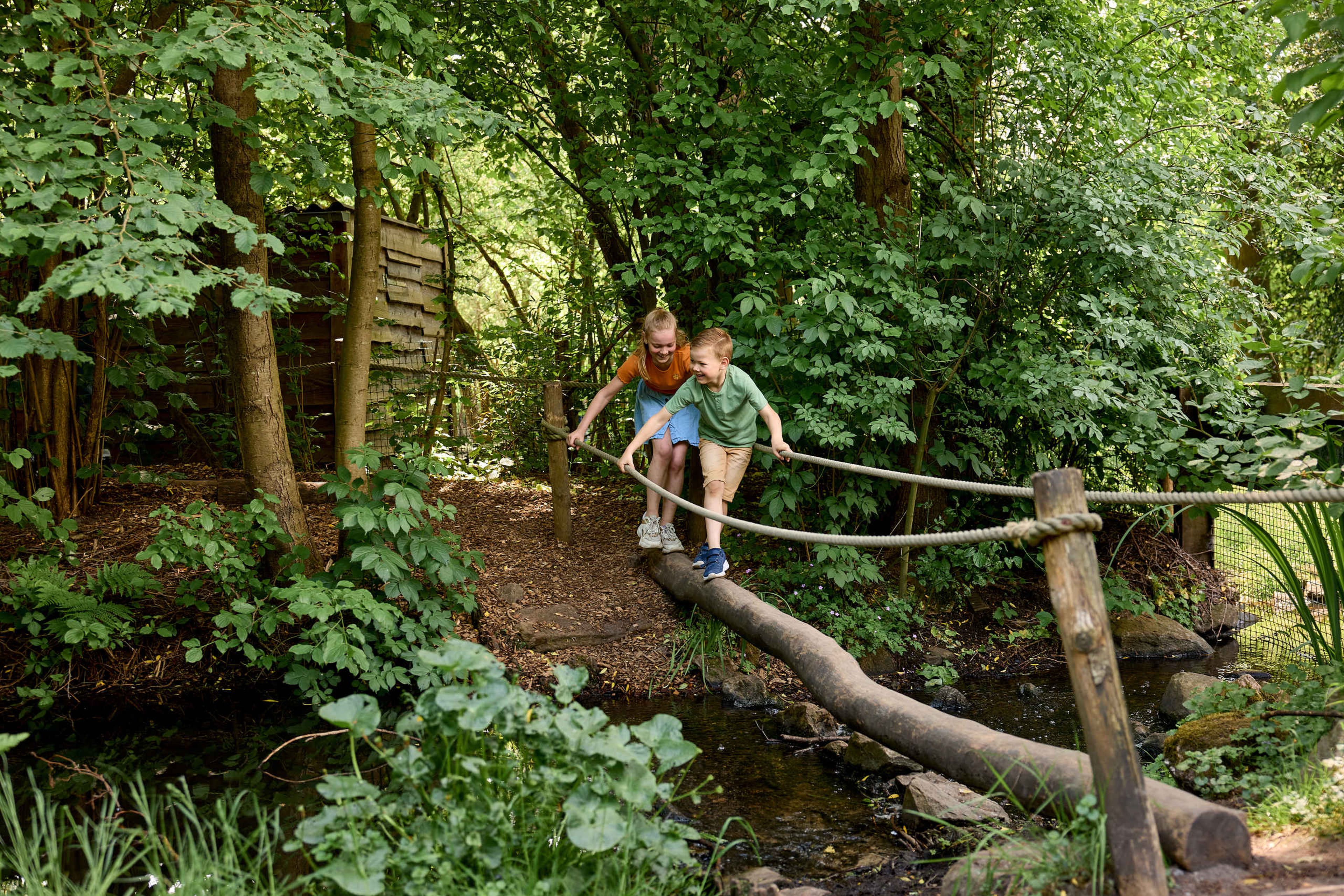 Jongen en meisje op avonturenpad op een boom over het water AquaZoo Leeuwarden