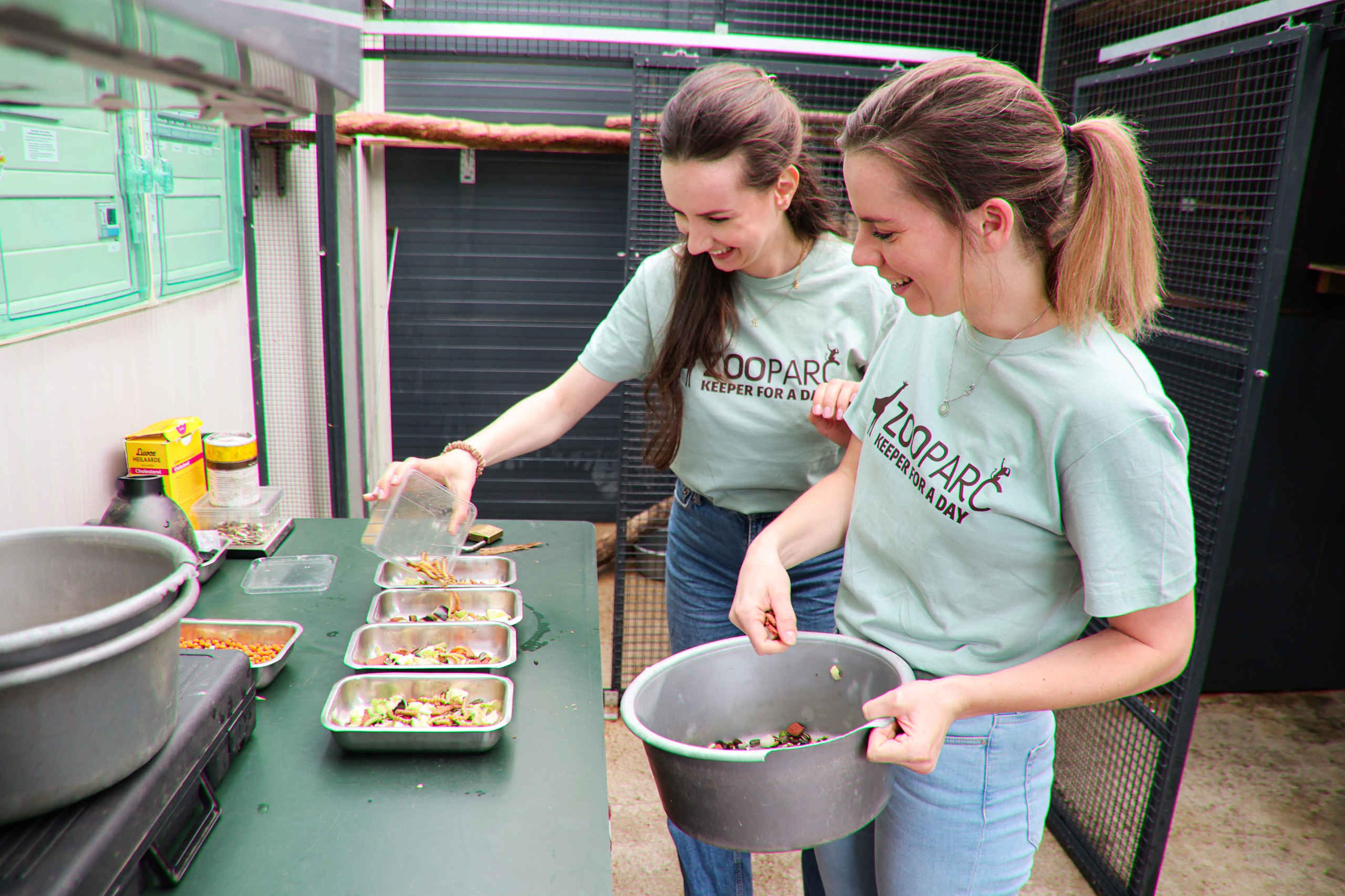 Voedsel voorbereiden dierverzorging keeper for a day ZooParc Overloon