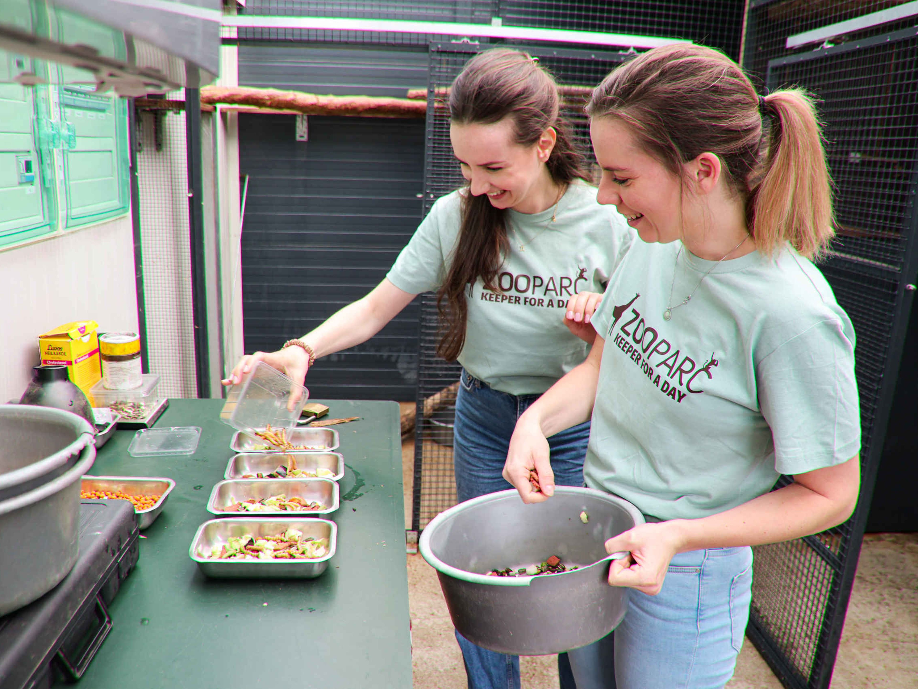 Voedsel voorbereiden dierverzorging keeper for a day ZooParc Overloon