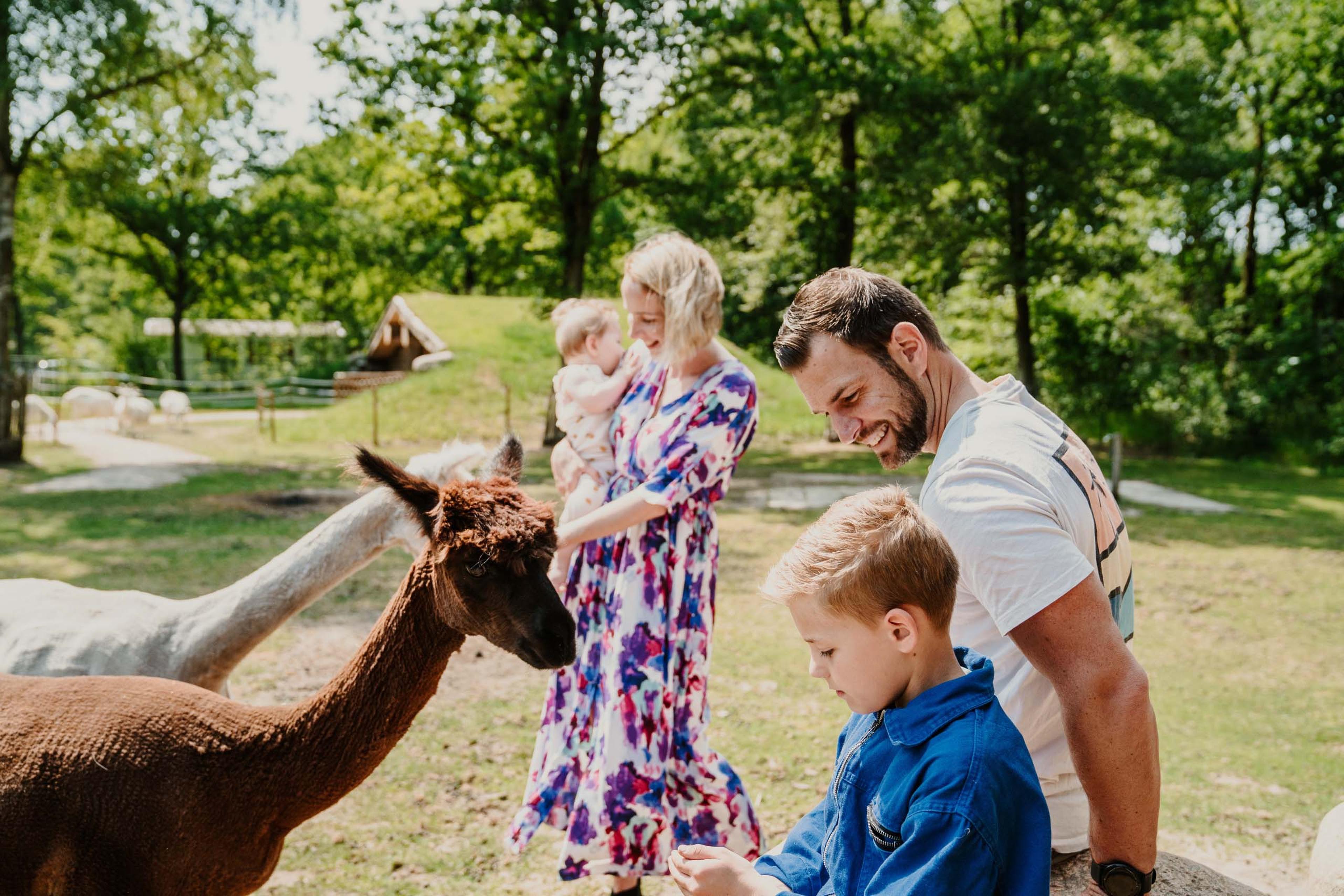 Gezin bij de alpaca's in de kinderboerderij van Vakantiepark Dierenbos