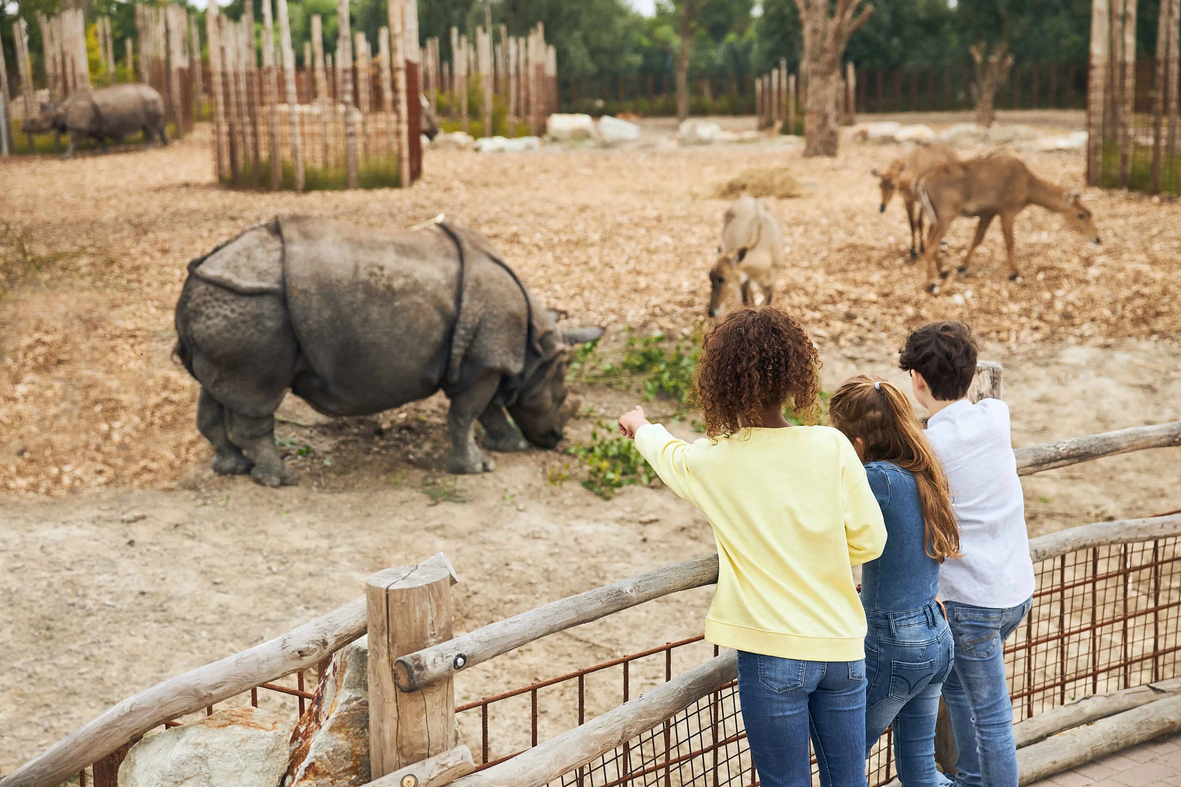 Kinderen bij de indische neushoorn in Eindhoven Zoo