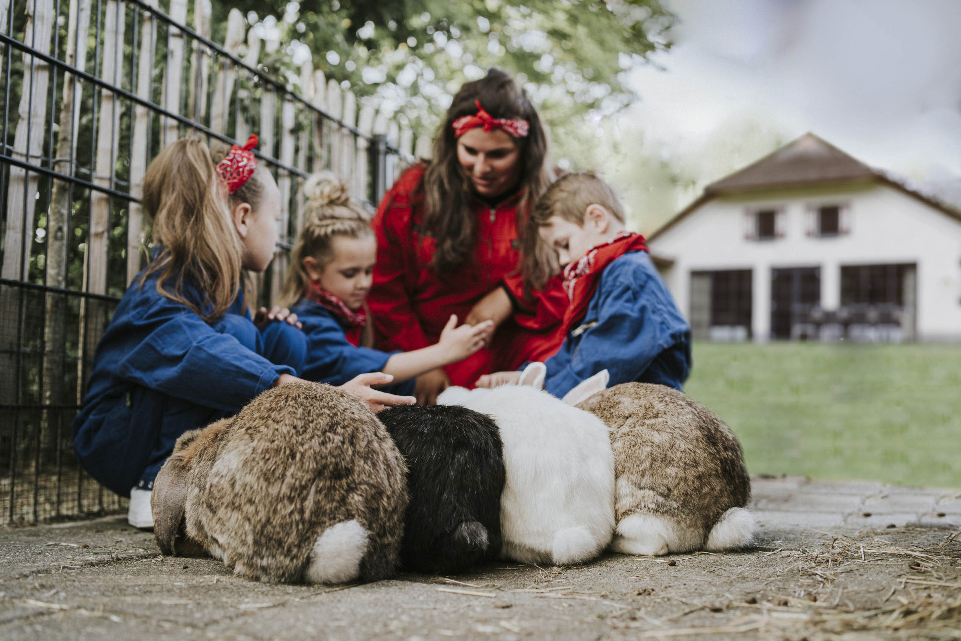 Kinderen en dierenverzorger aaien konijnen in de kinderboerderij op Vakantiepark Dierenbos