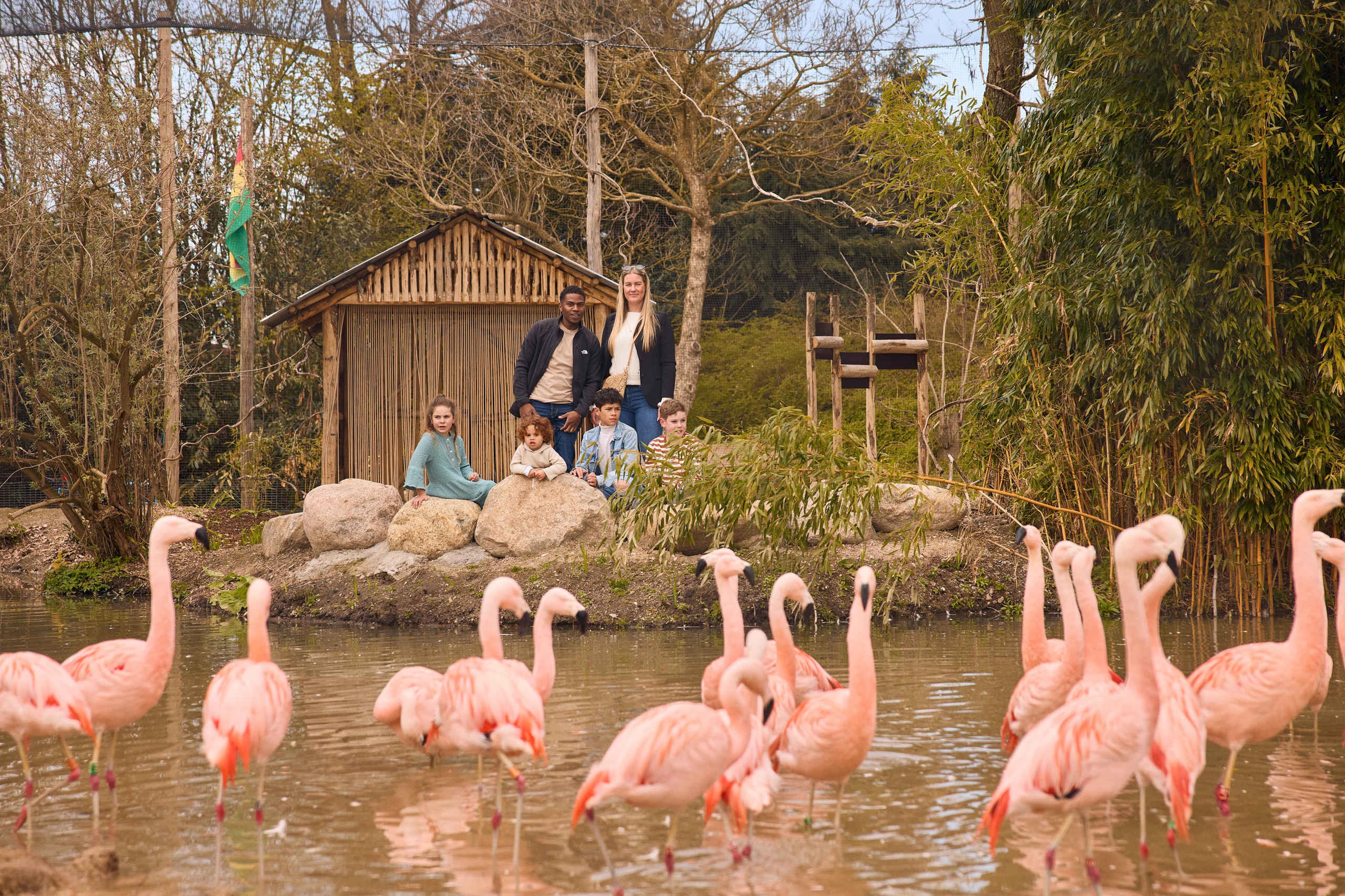 Gezin kijkt naar de flamingo's in ZooParc Overloon