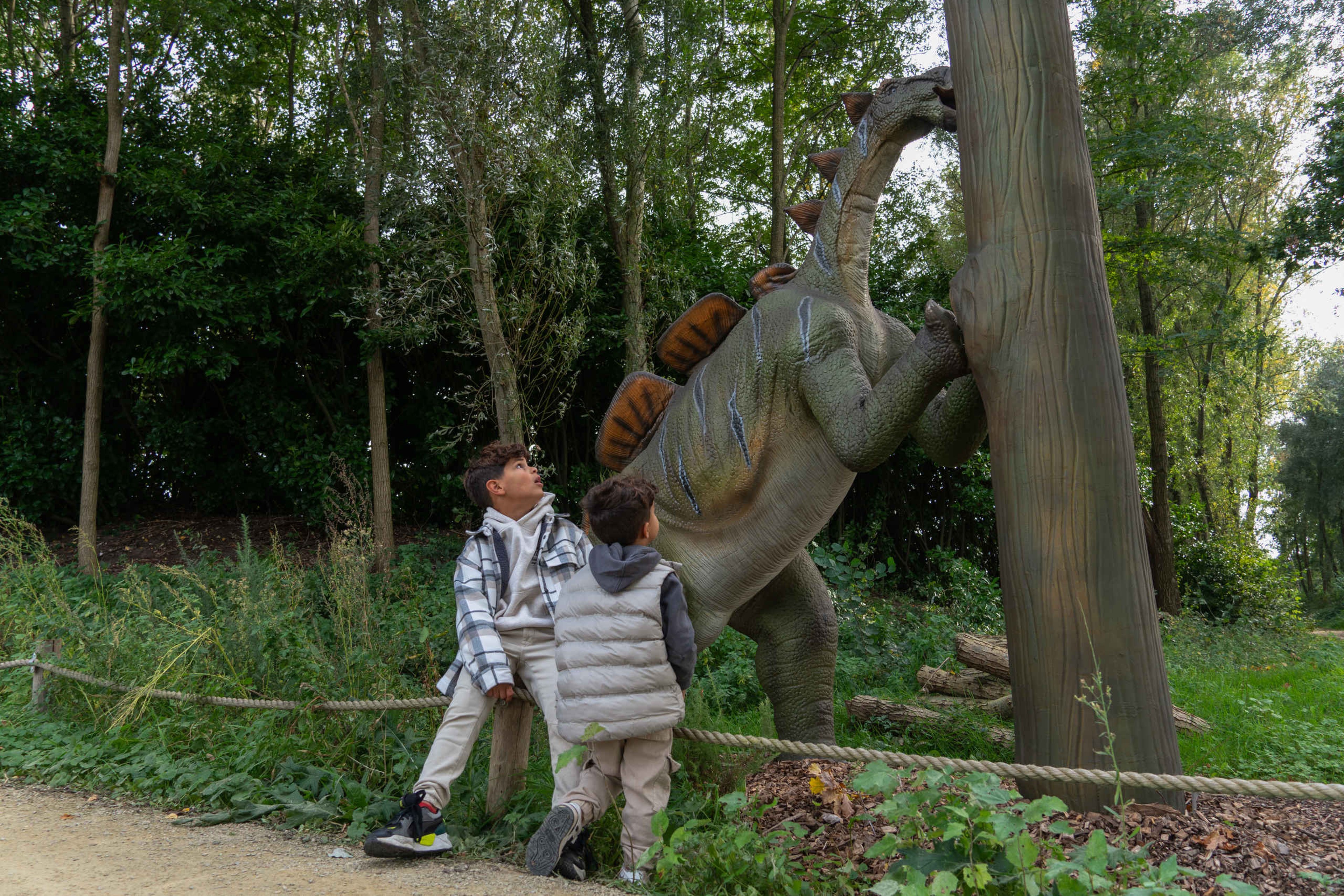 Een Wuerhosaurus tijdens de Dino Weken in ZooParc Overloon
